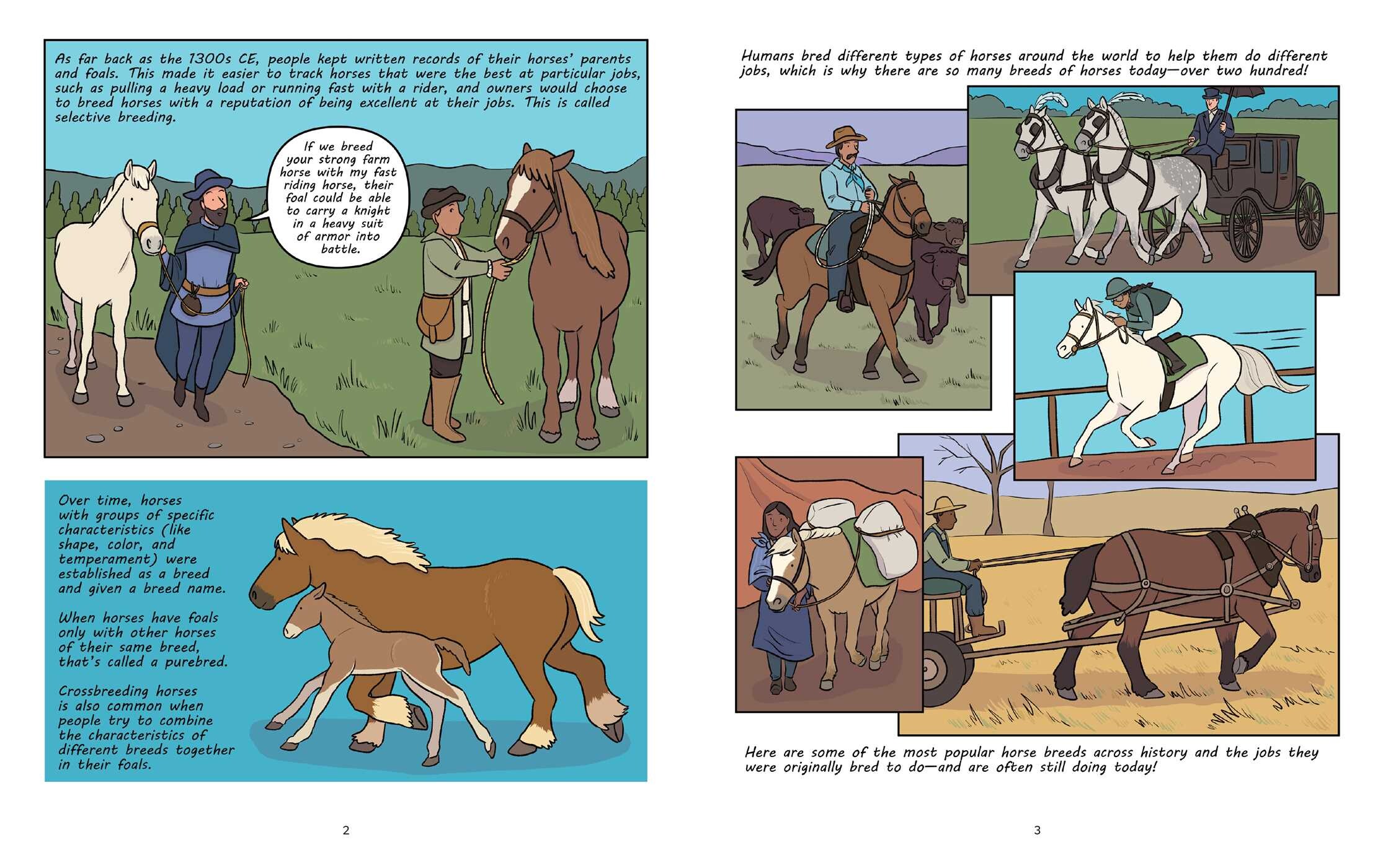 Why Are Horses