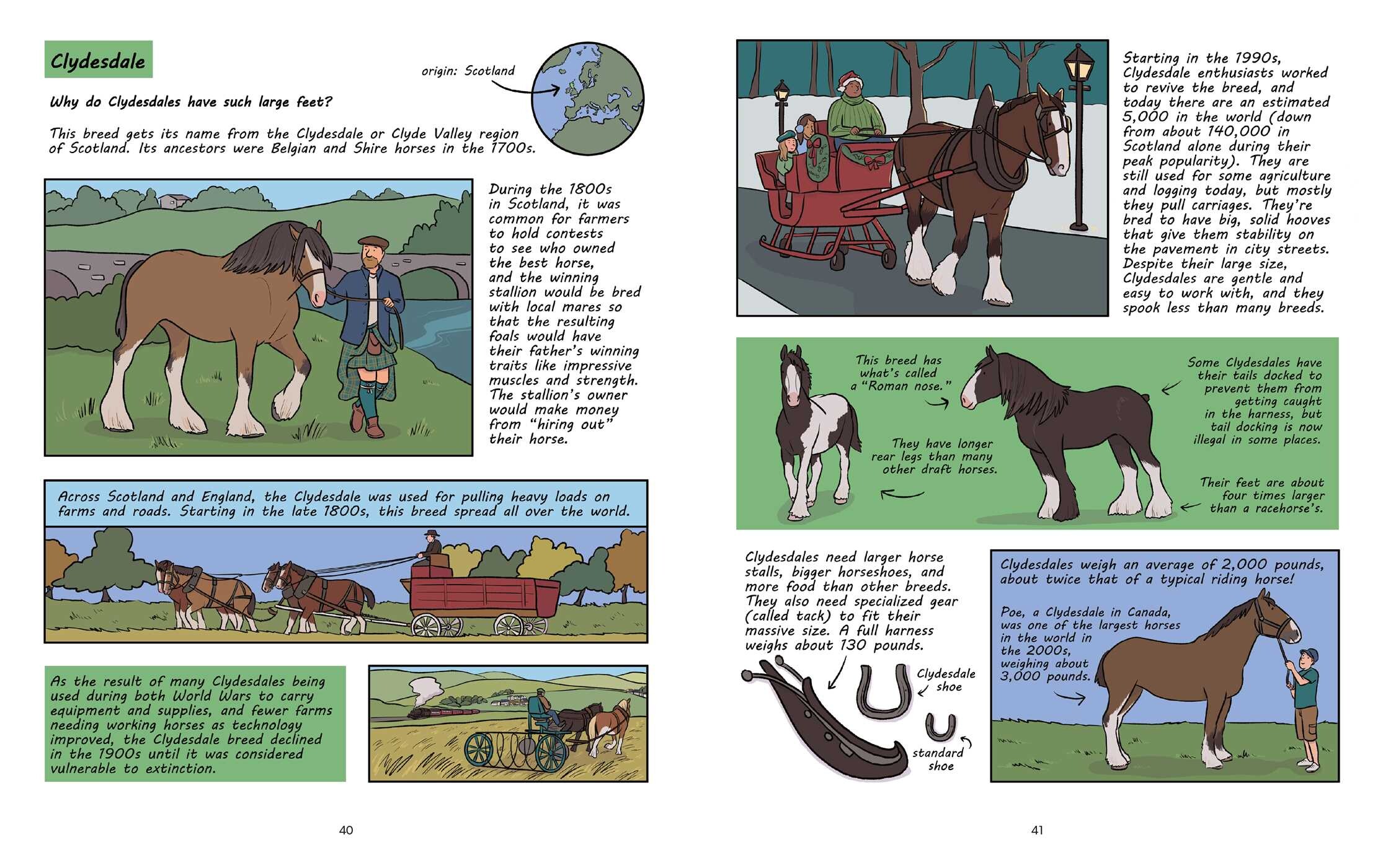 Why Are Horses