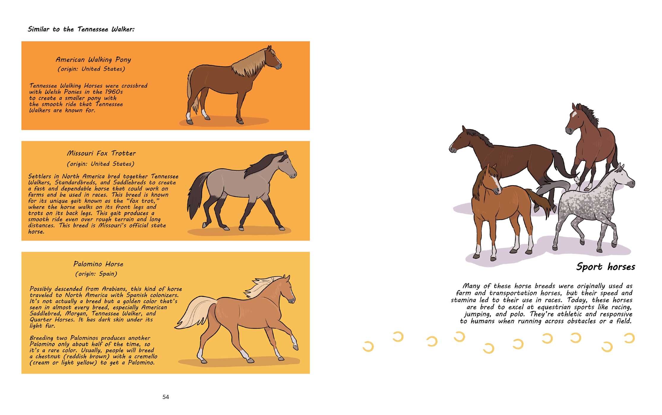 Why Are Horses
