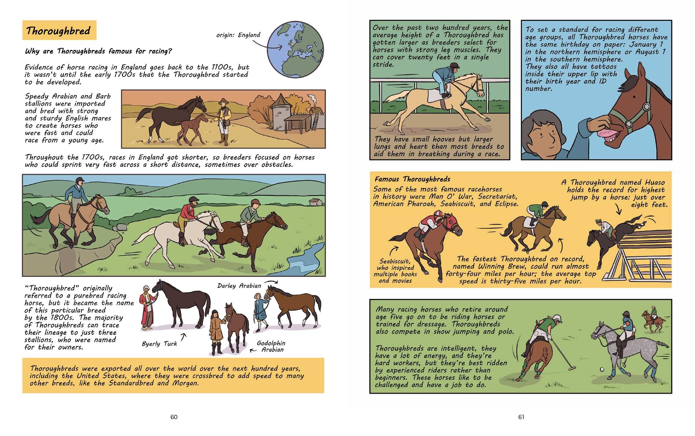 Why Are Horses