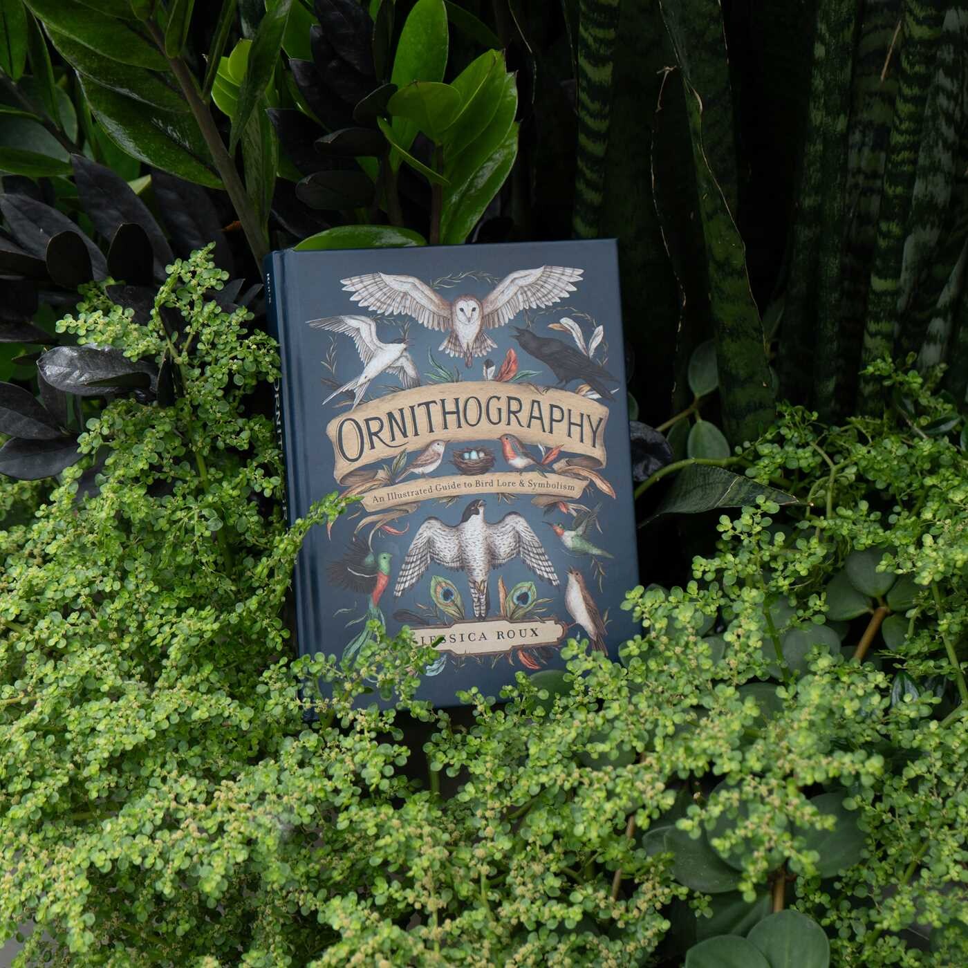 Ornithography