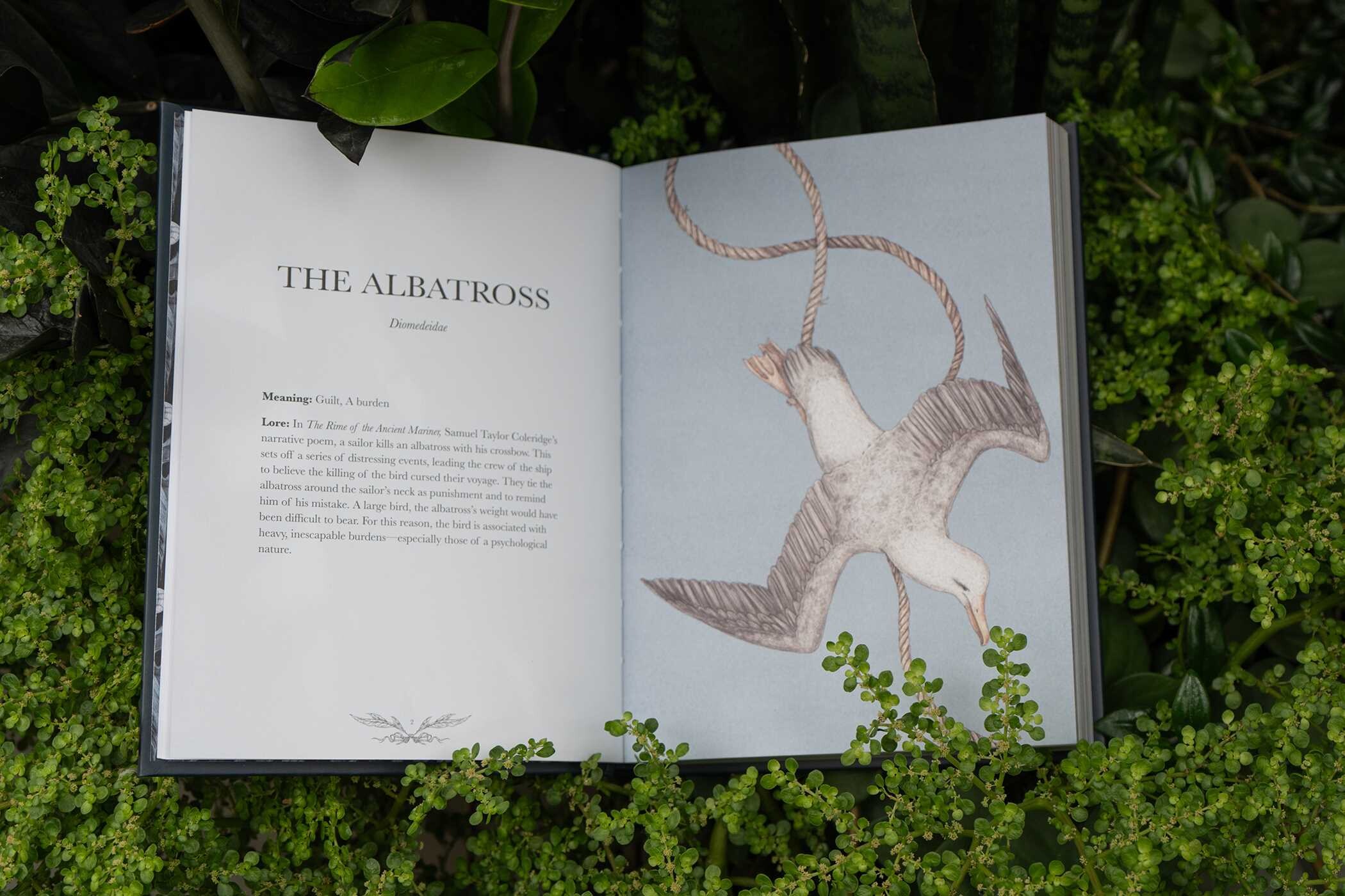 Ornithography
