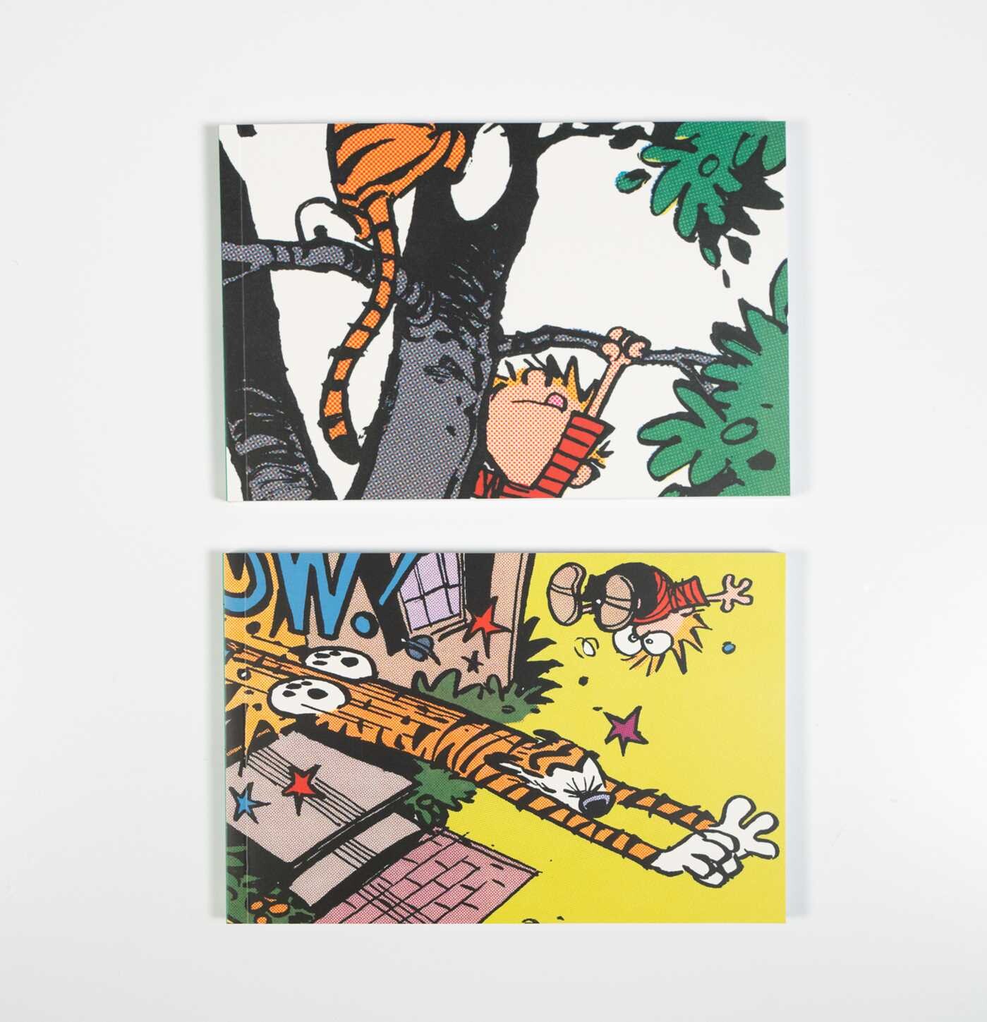 Calvin and Hobbes Portable Compendium Set 5