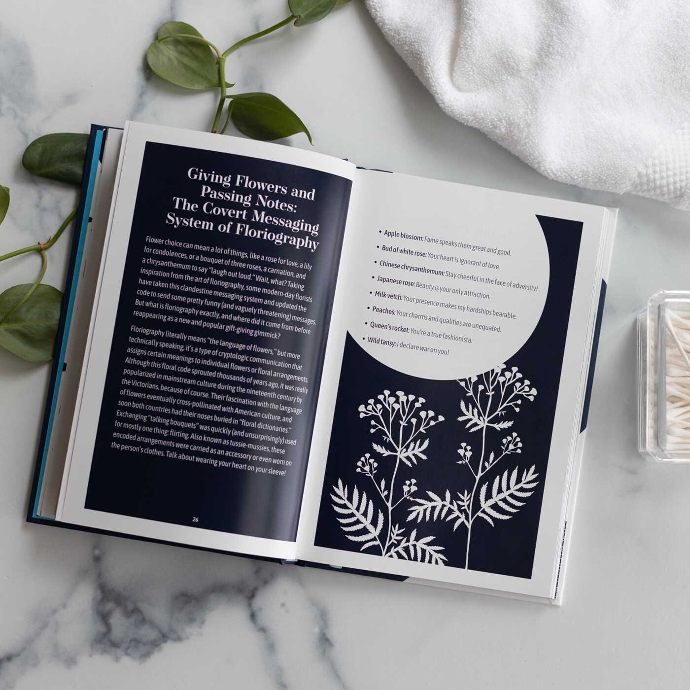 Modern Bathroom Reader