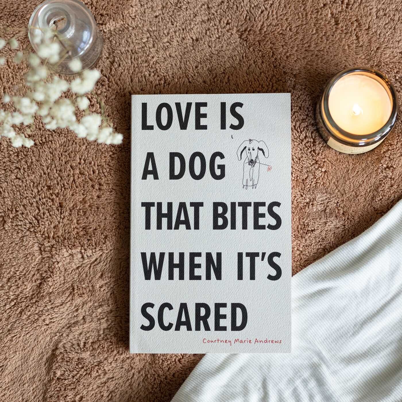 Love Is a Dog That Bites When It's Scared