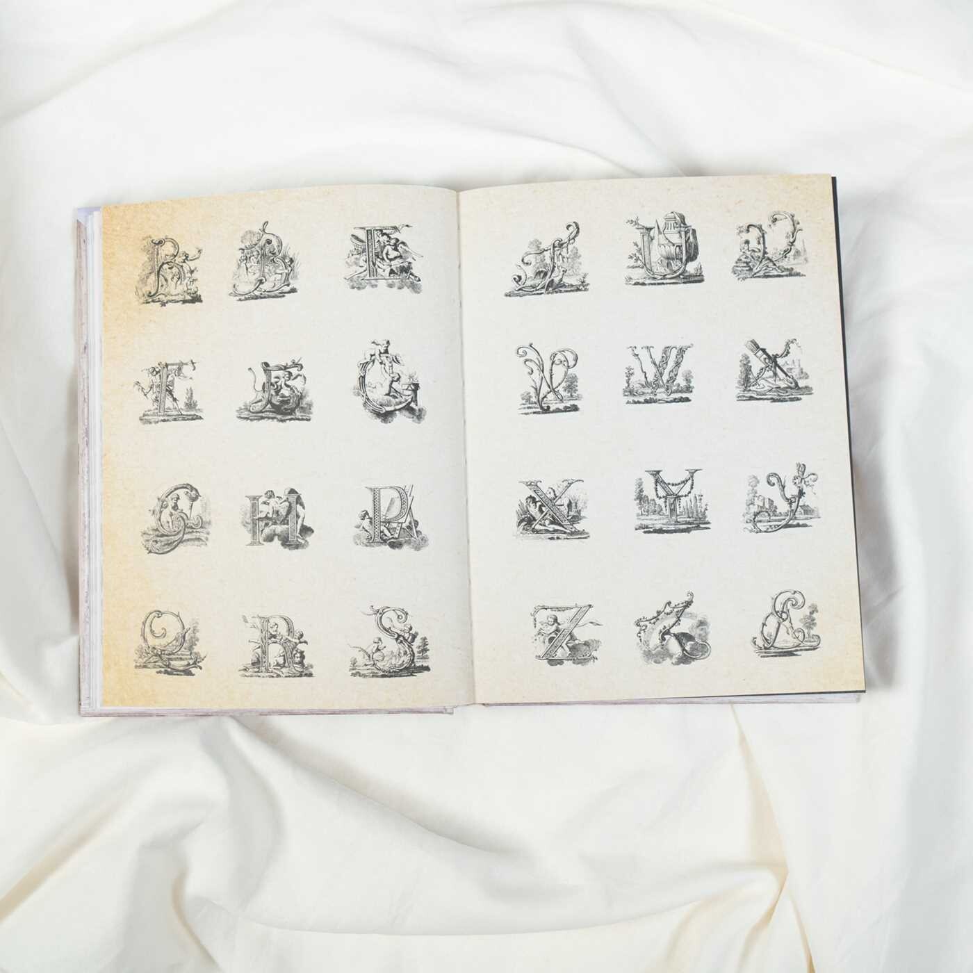 Cabinet of Curiosities II