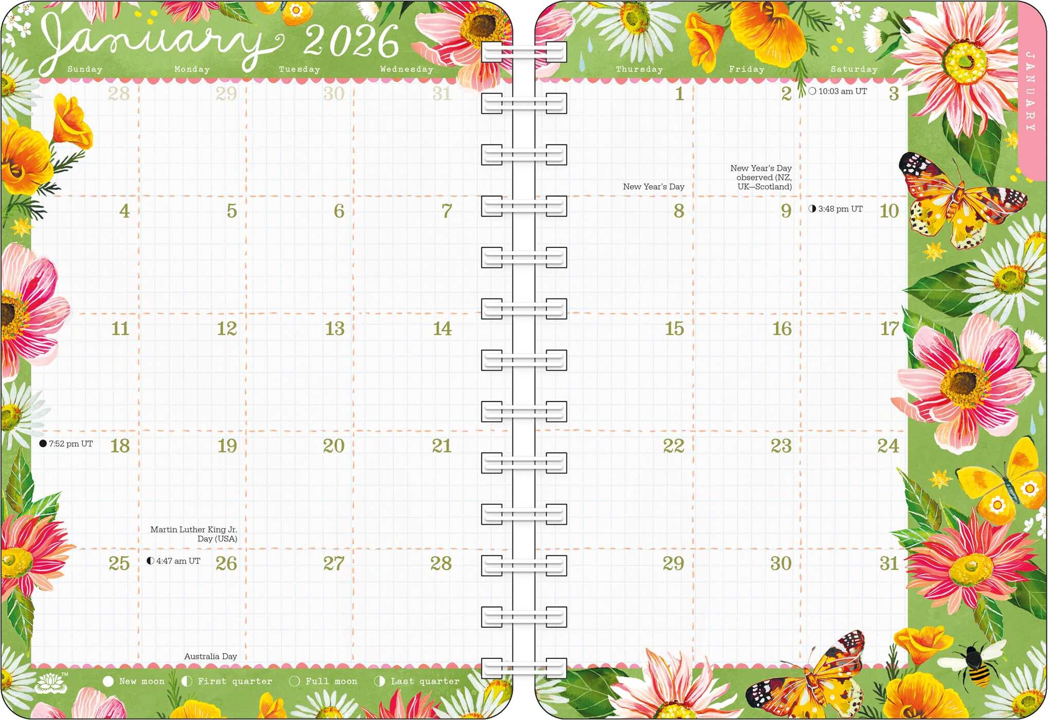 Katie Daisy 2026 Weekly Planner Calendar Book Summary & Video