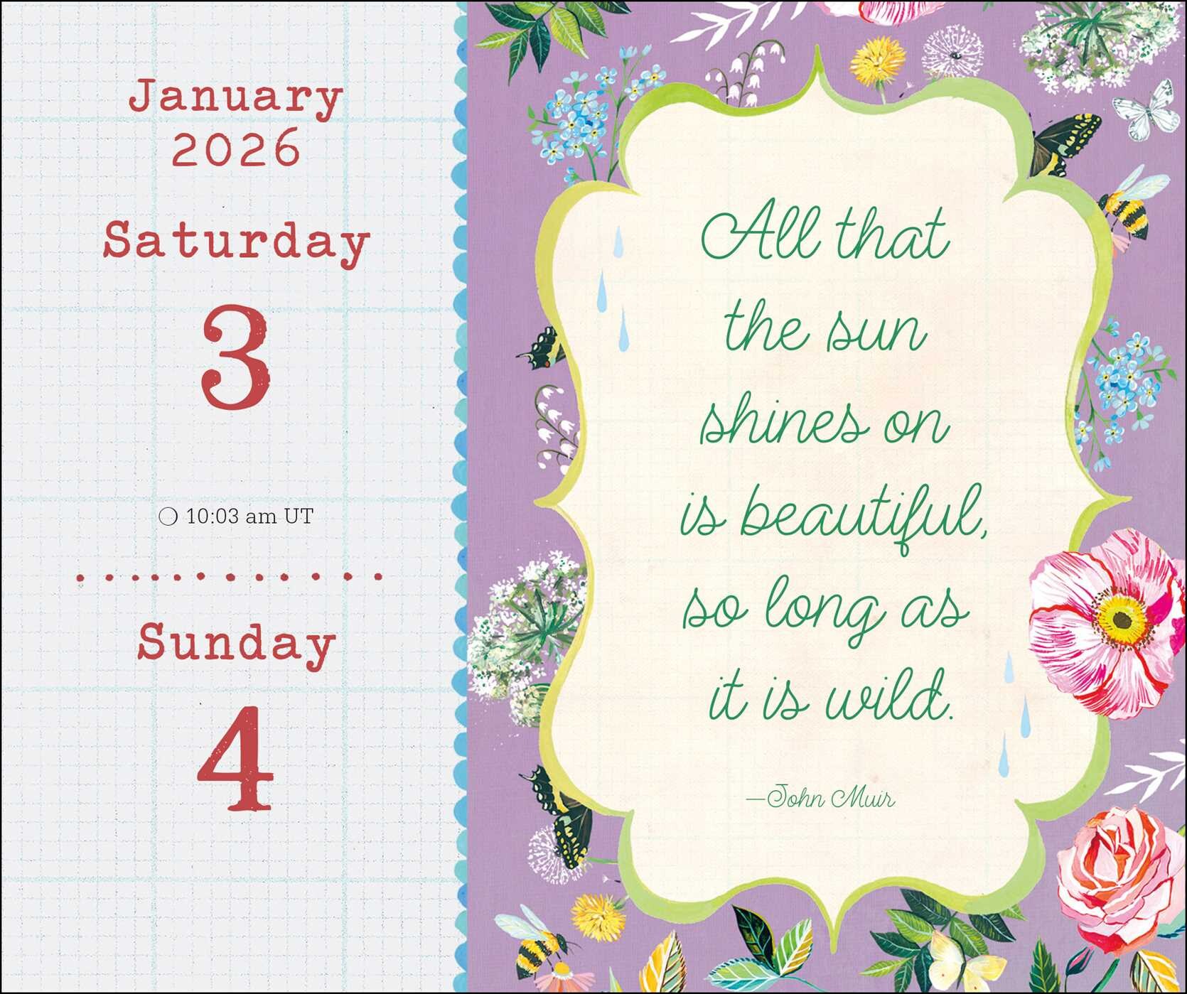 Katie Daisy 2026 DaytoDay Calendar Book Summary & Video Official