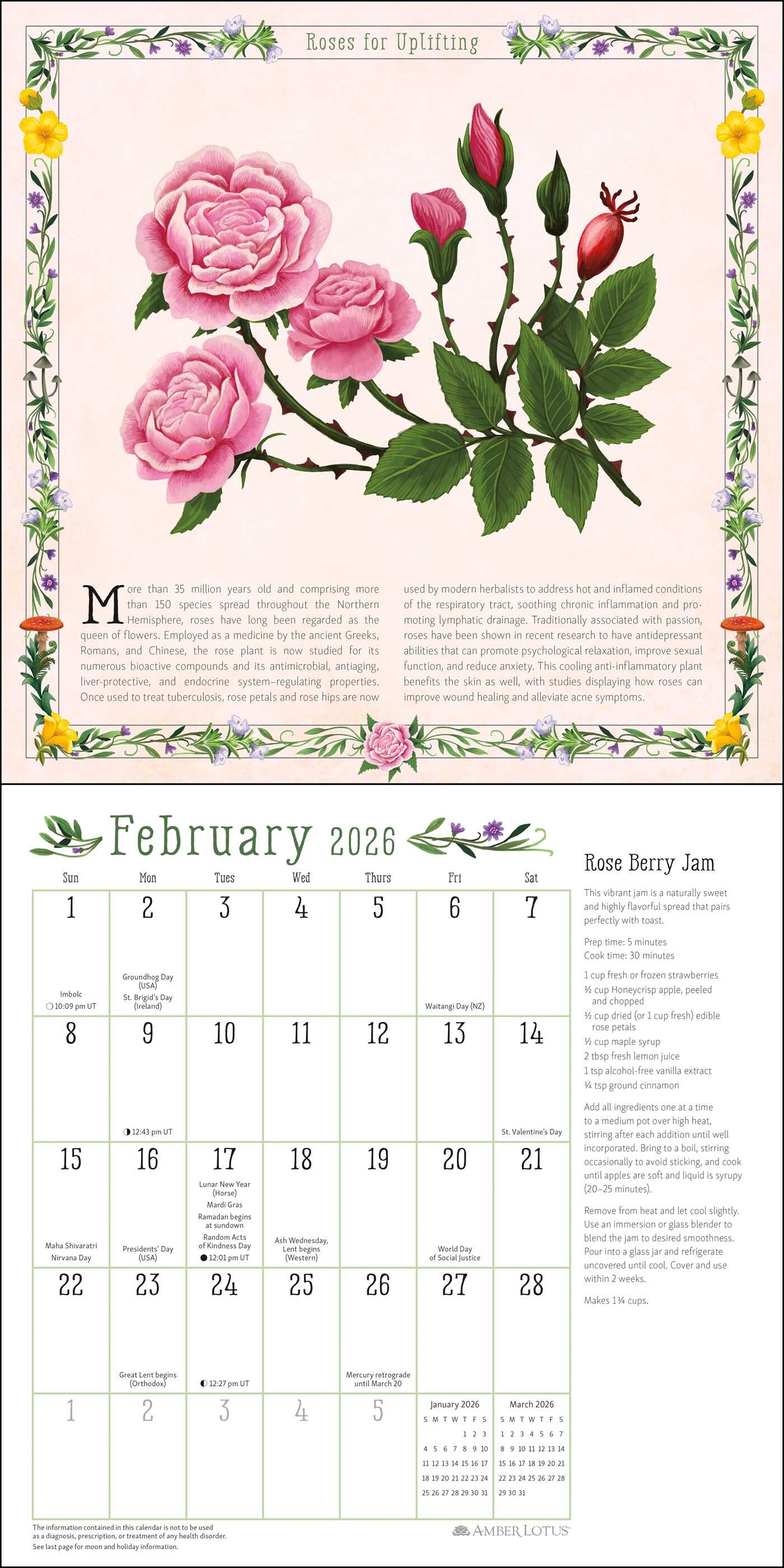 Kitchen Witch 2026 Wall Calendar - Book Summary & Video | Official ...