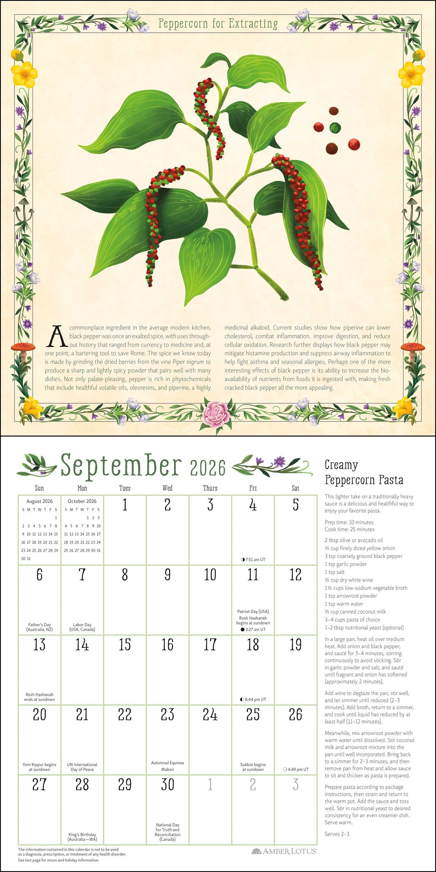 Kitchen Witch 2026 Wall Calendar - Book Summary & Video | Official ...