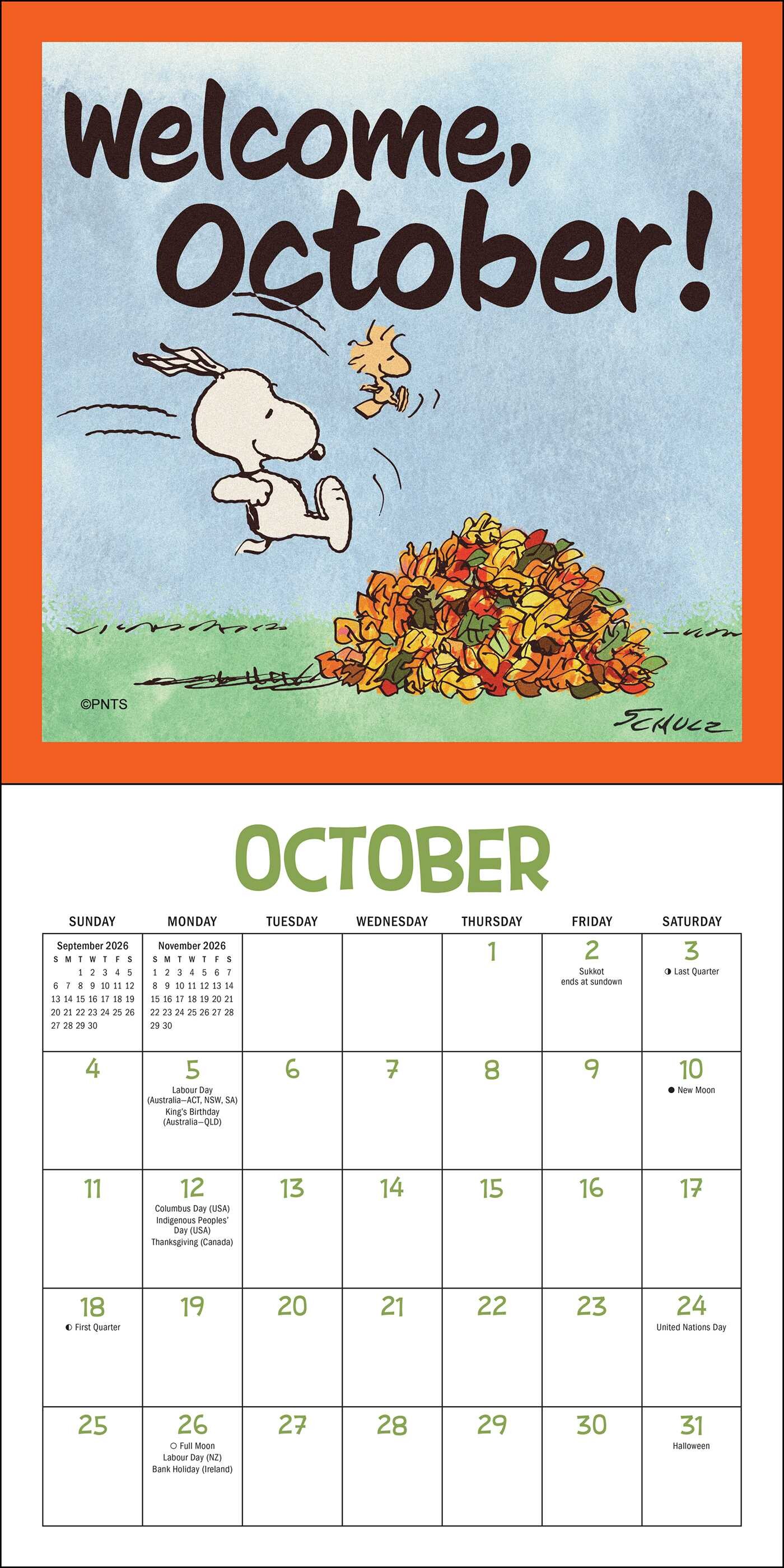 Peanuts® Snoopygrams 2026 Mini Wall Calendar Book Summary & Video