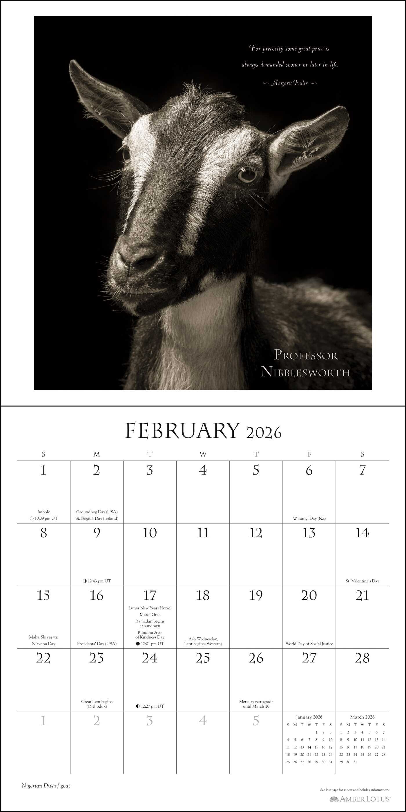 I Am Goat 2026 Wall Calendar Book Summary & Video Official