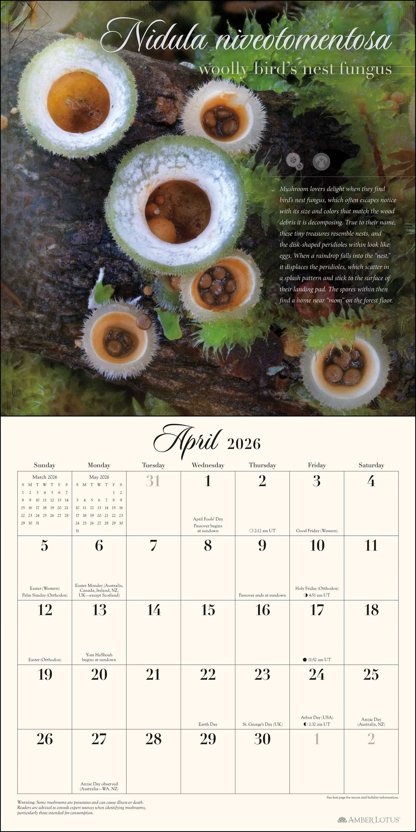 The Miraculous Mushroom 2026 Wall Calendar Book Summary & Video
