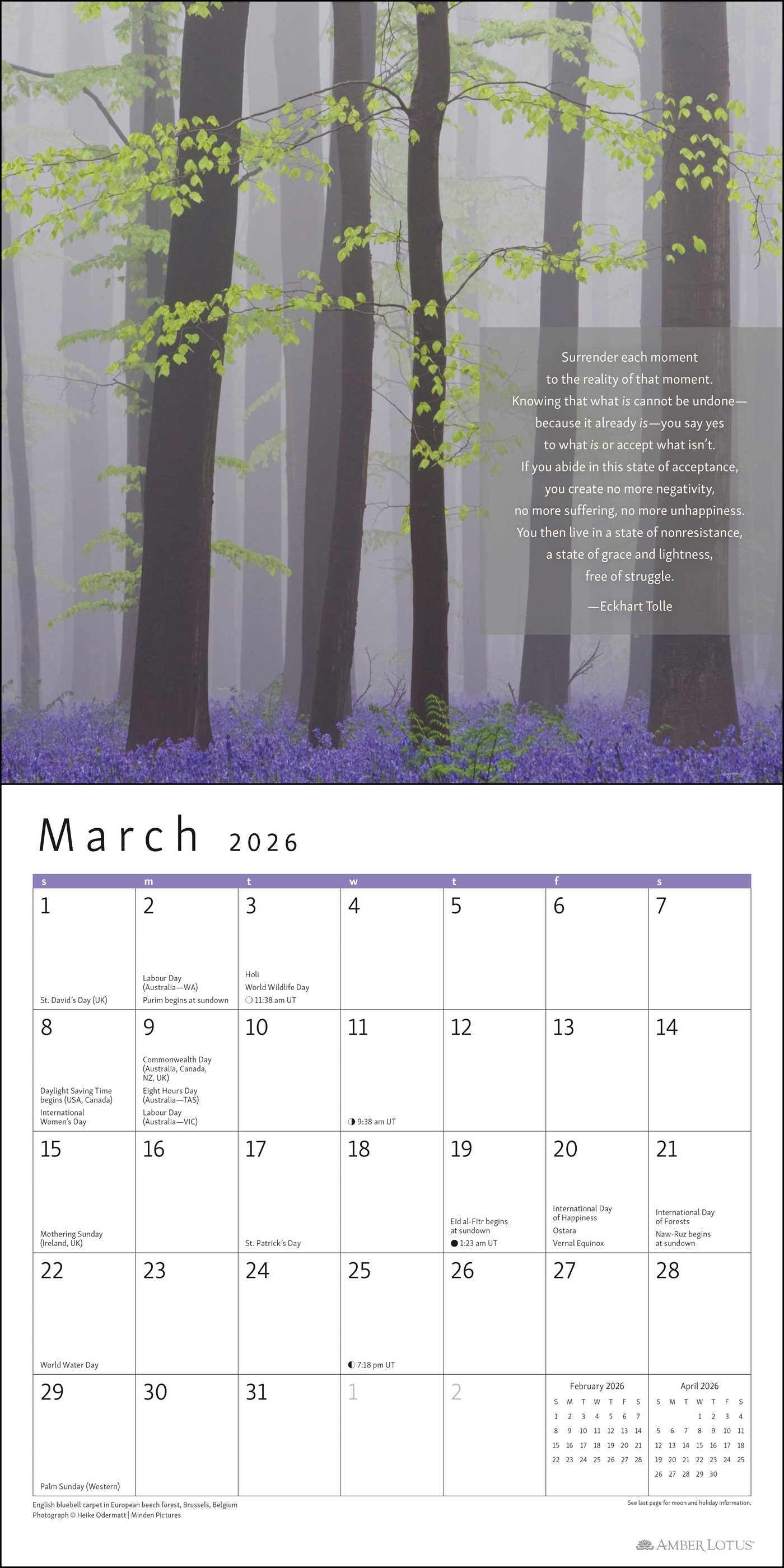 The Power of Now 2026 Wall Calendar Book Summary & Video Official