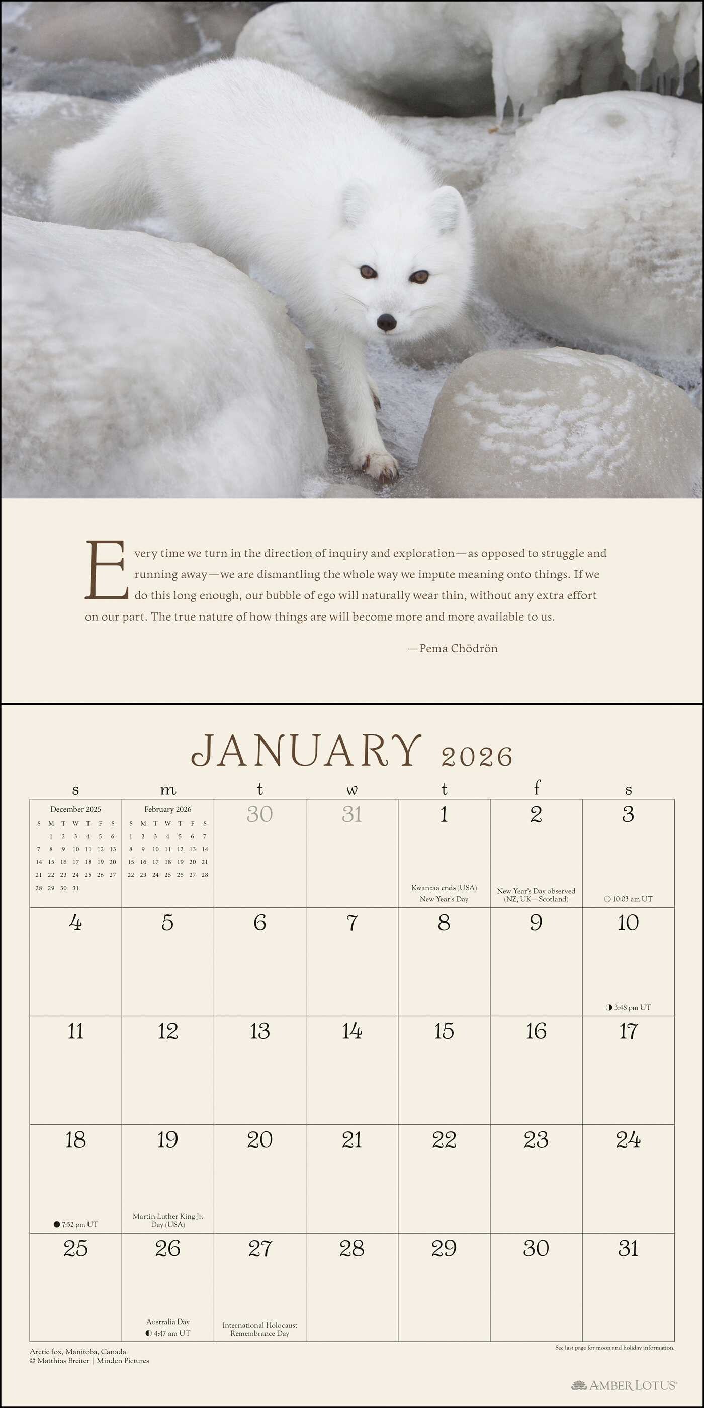 Pema Chödrön 2026 Wall Calendar Book Summary & Video Official