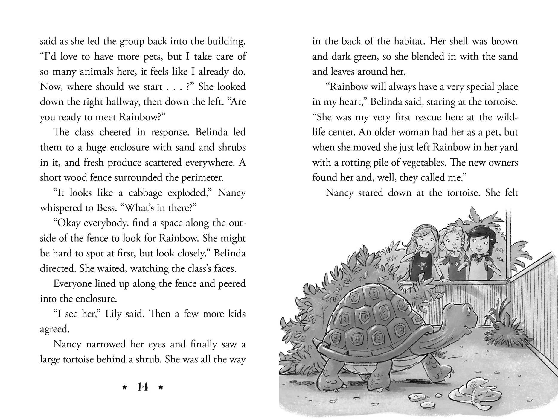 Tortoise and the Scare