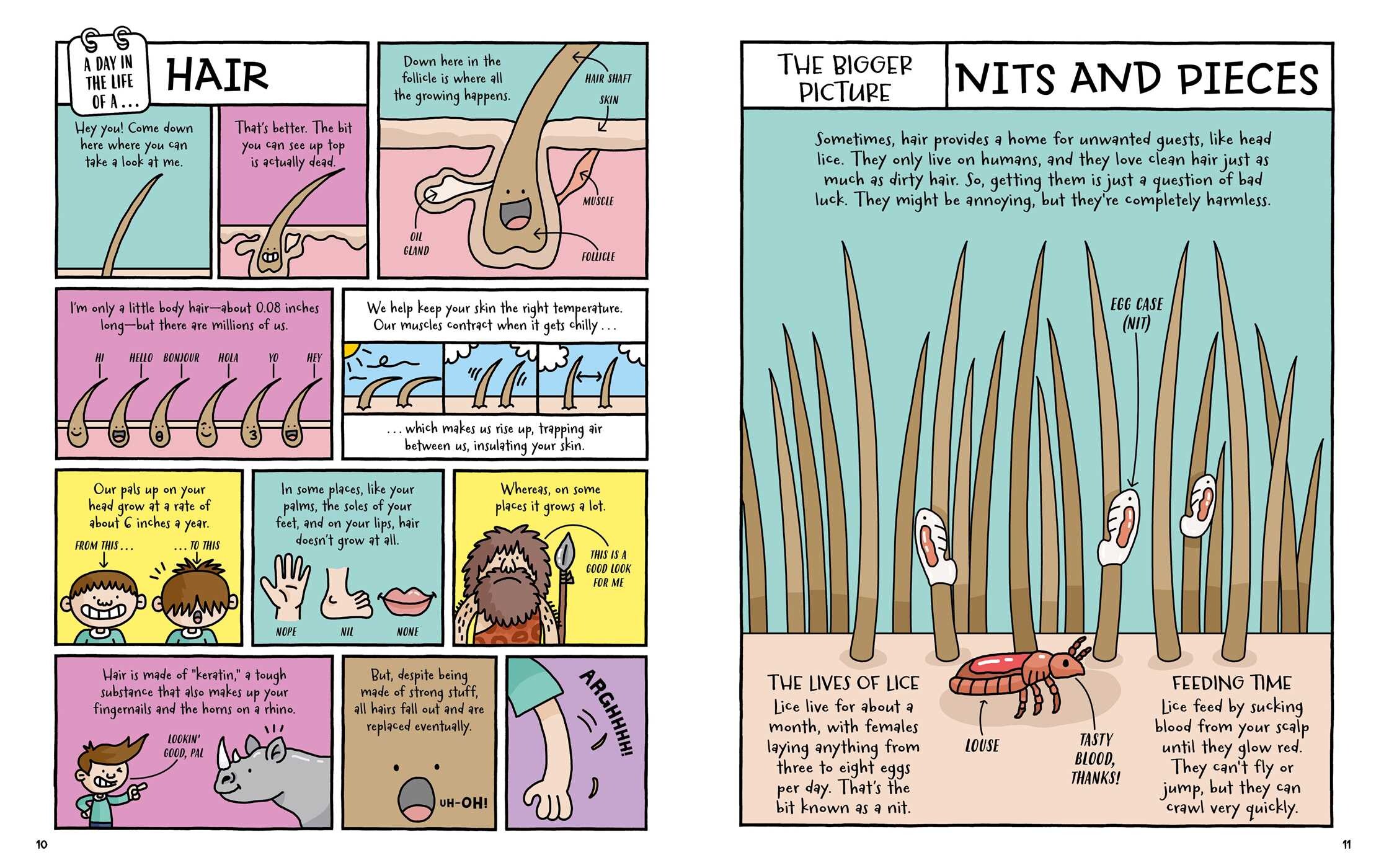 Day in the Life of a Poo, a Gnu, and You