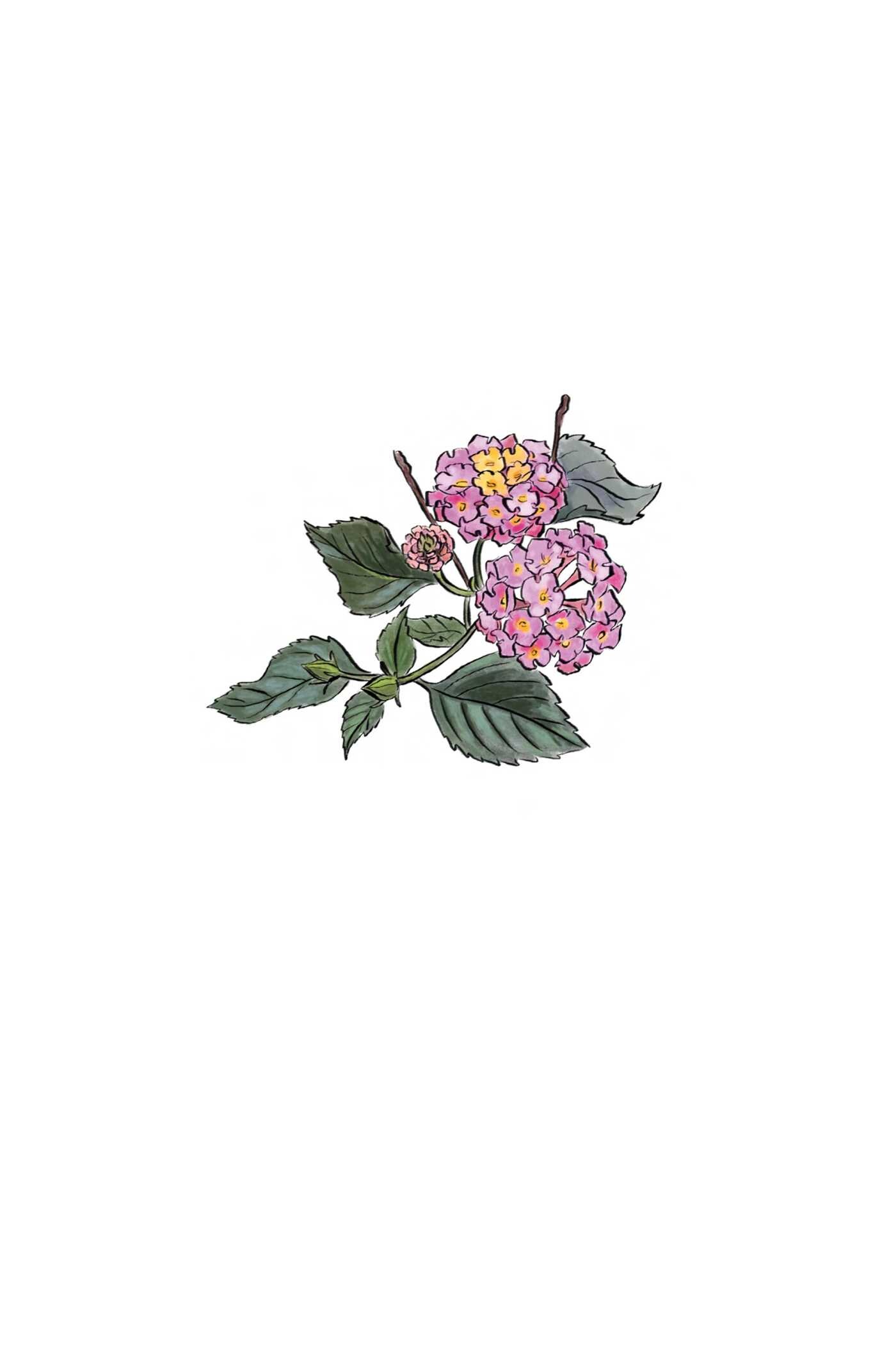 Three Bee Honey Vol. 1