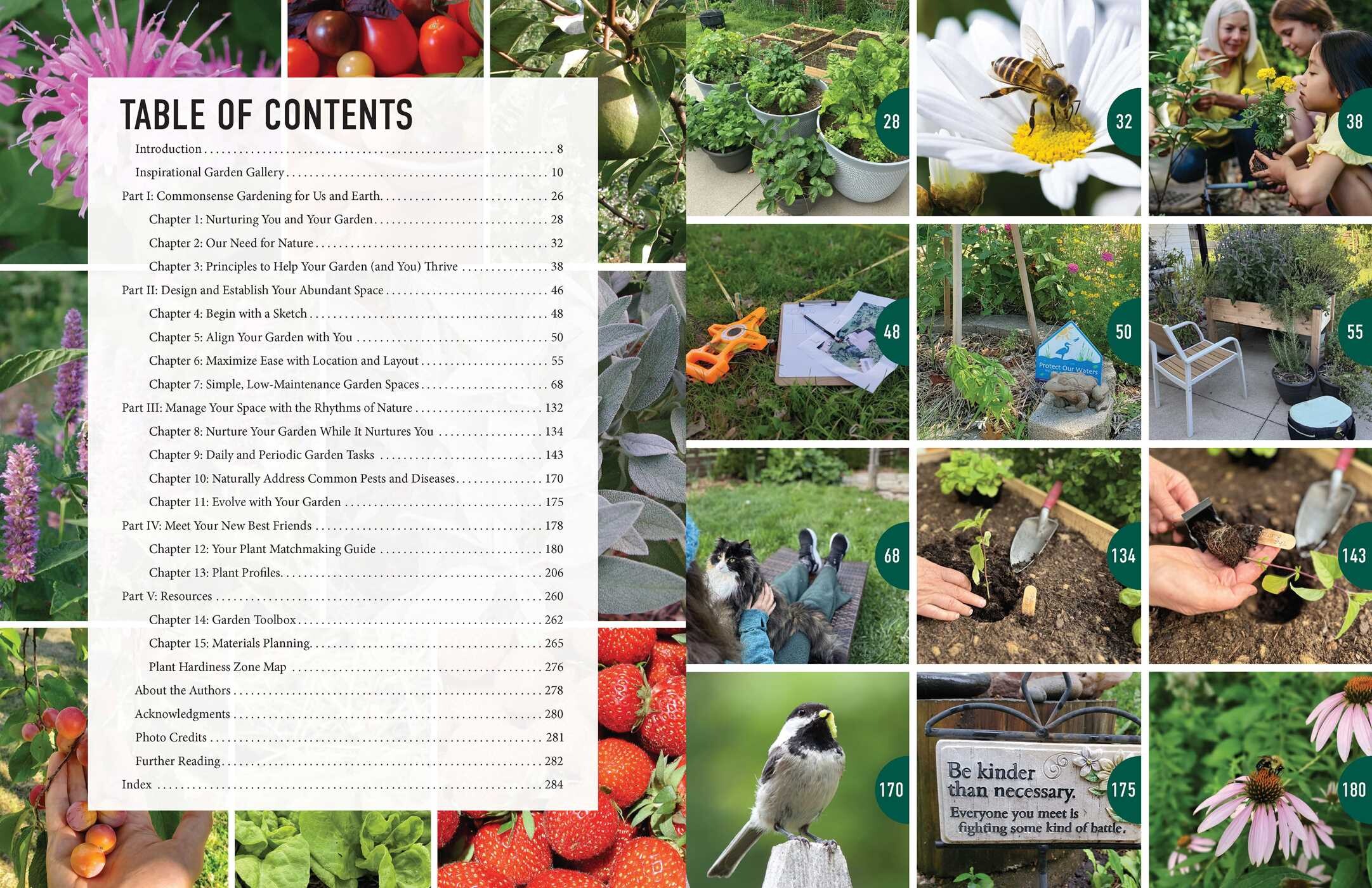 Low-Maintenance Eco Gardens