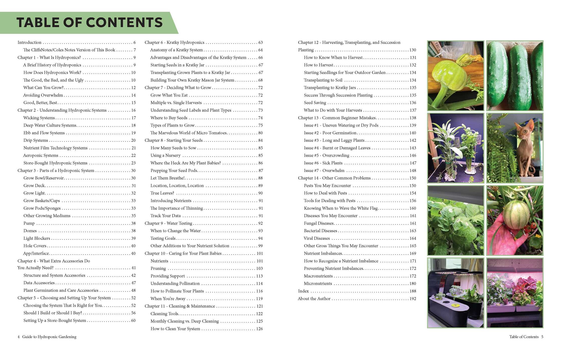 Guide to Hydroponic Gardening