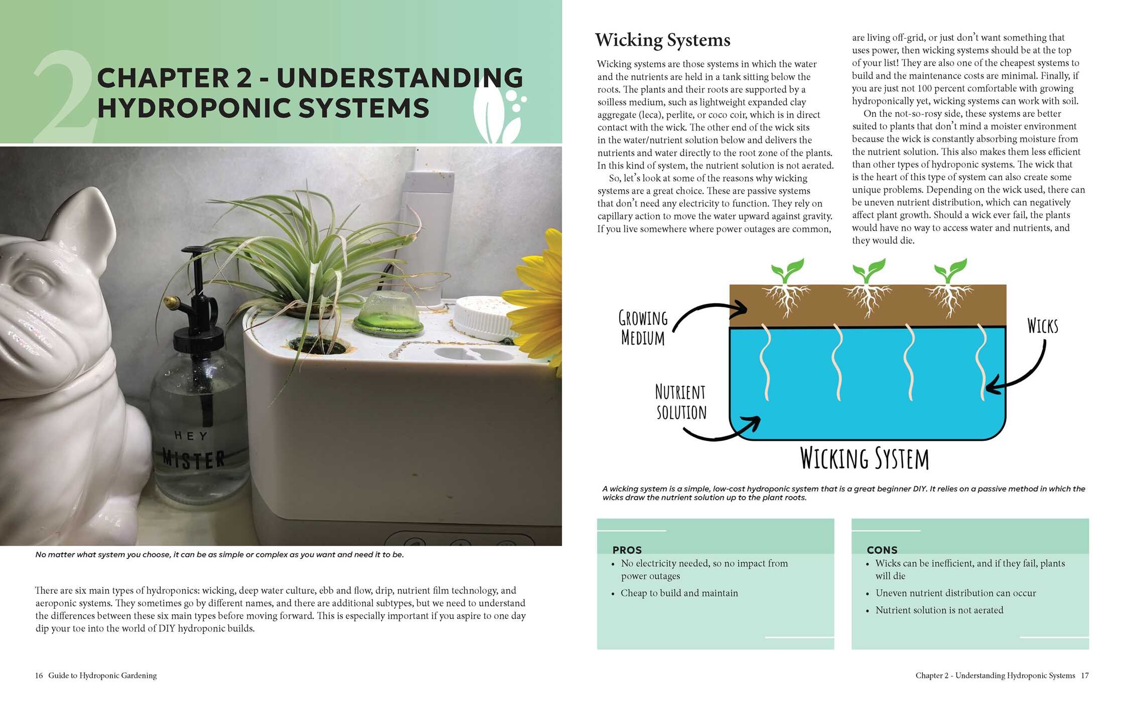 Guide to Hydroponic Gardening