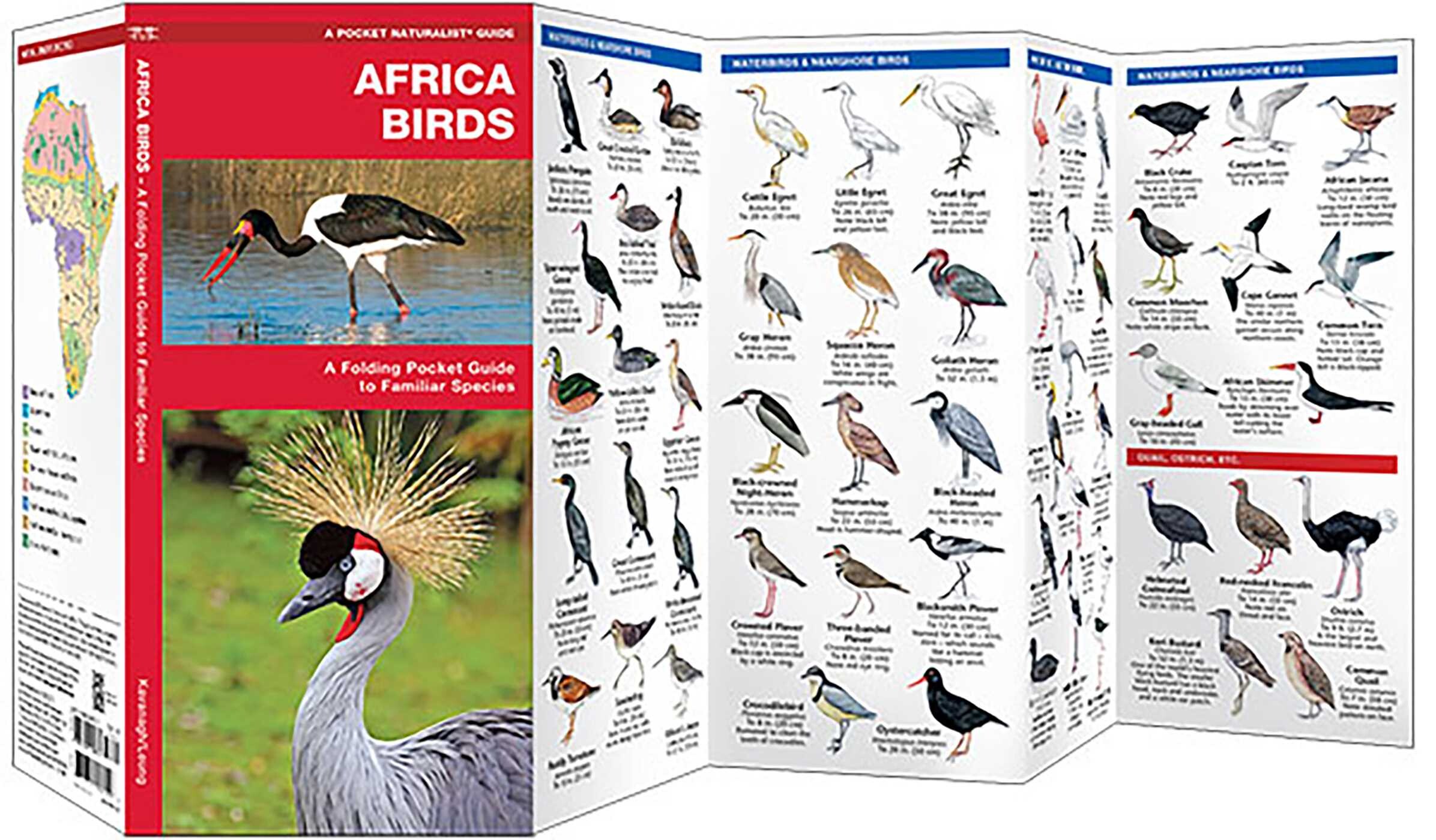 Africa Birds