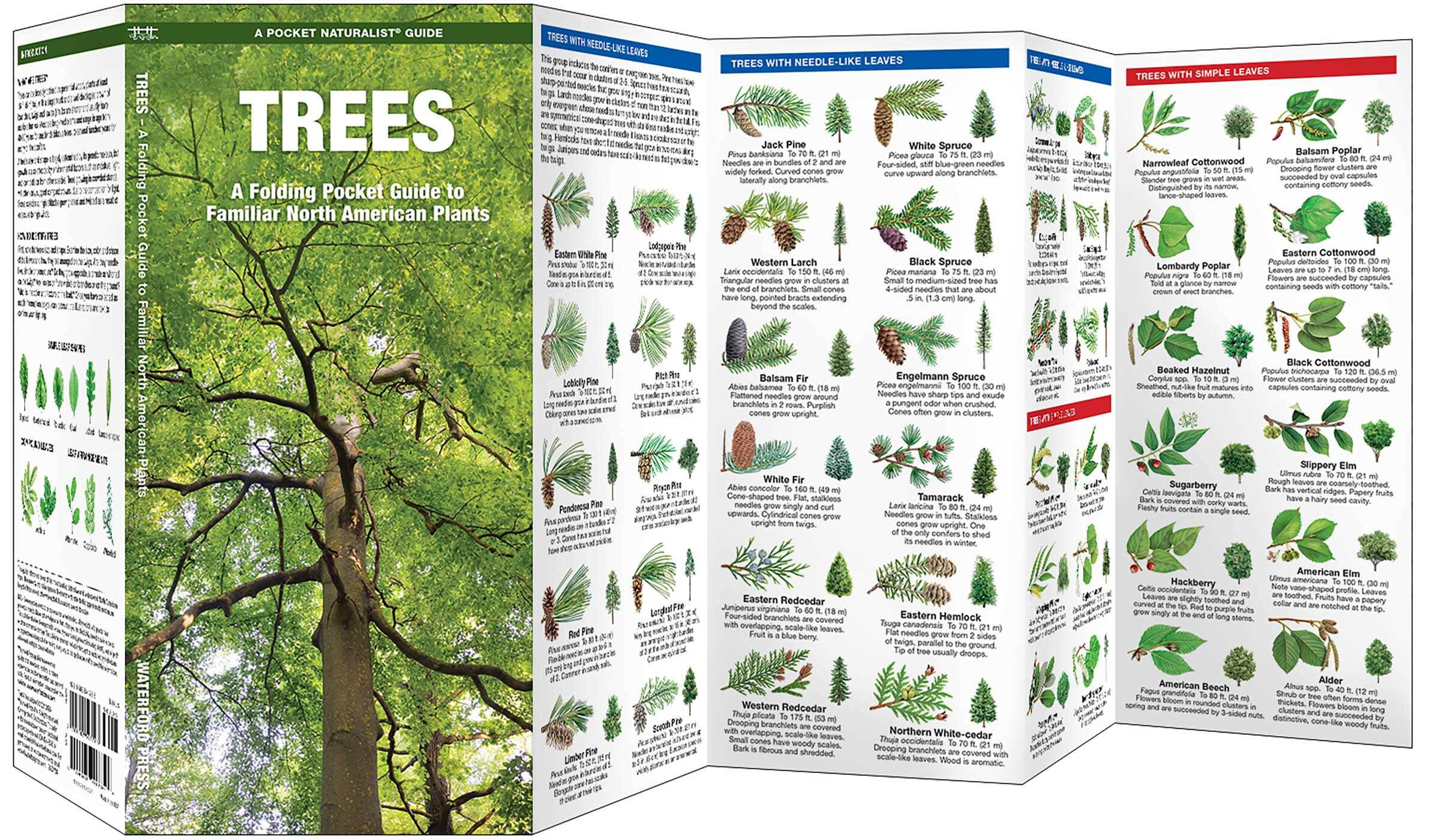 Trees