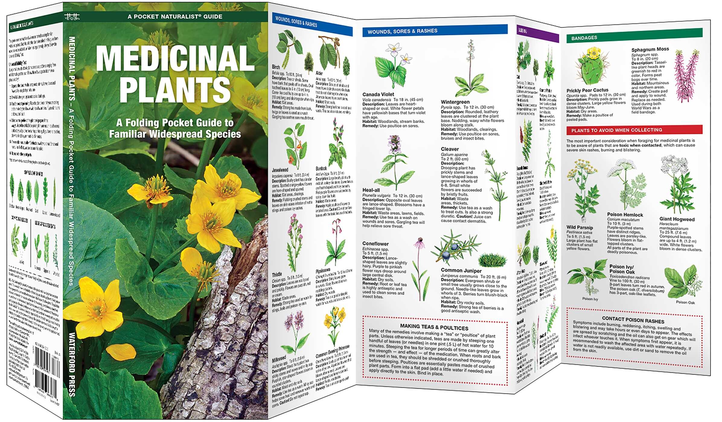 Medicinal Plants