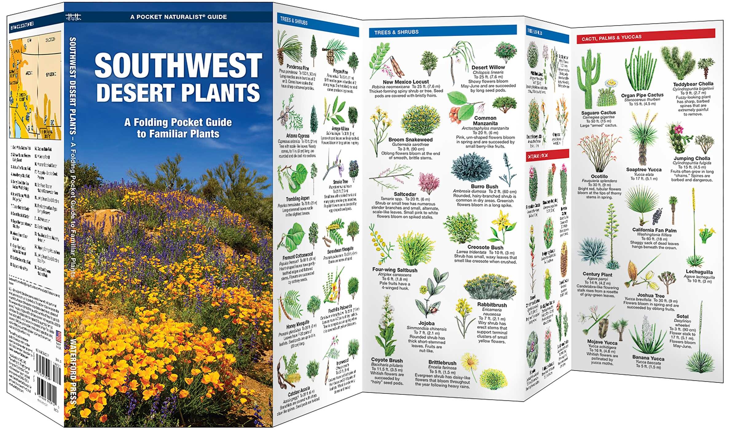 Southwest Desert Plants - Book Summary &amp; Video | Official Publisher Page | Simon &amp; Schuster Canada