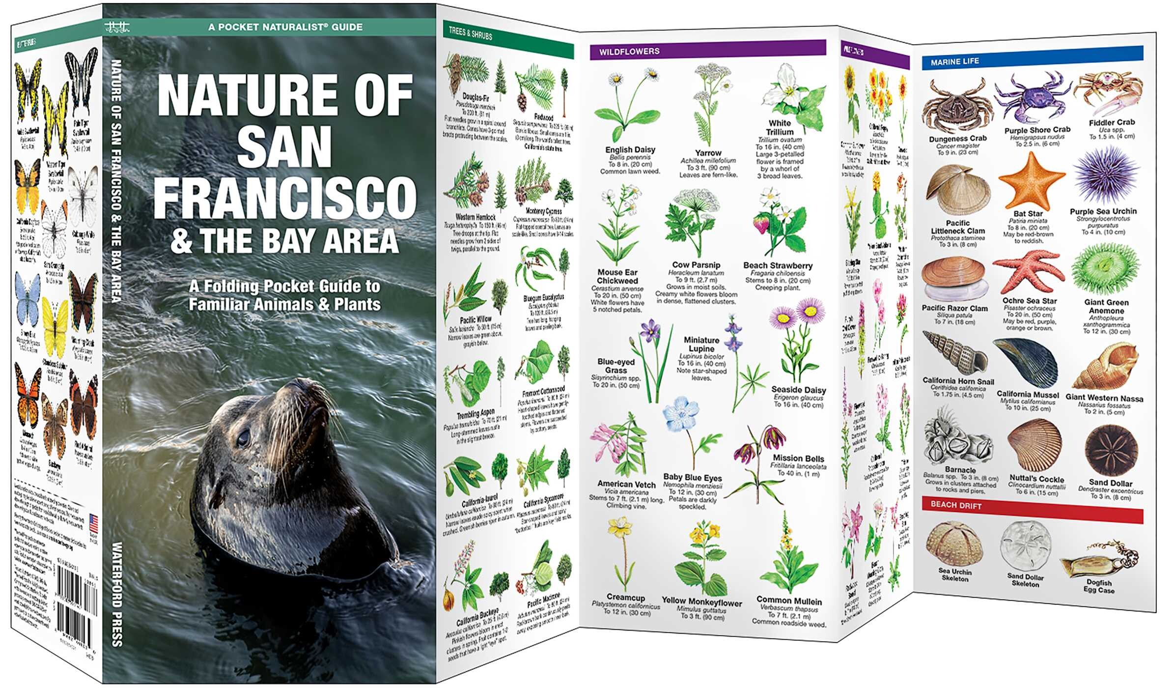 San Francisco & the Bay Area, Nature of