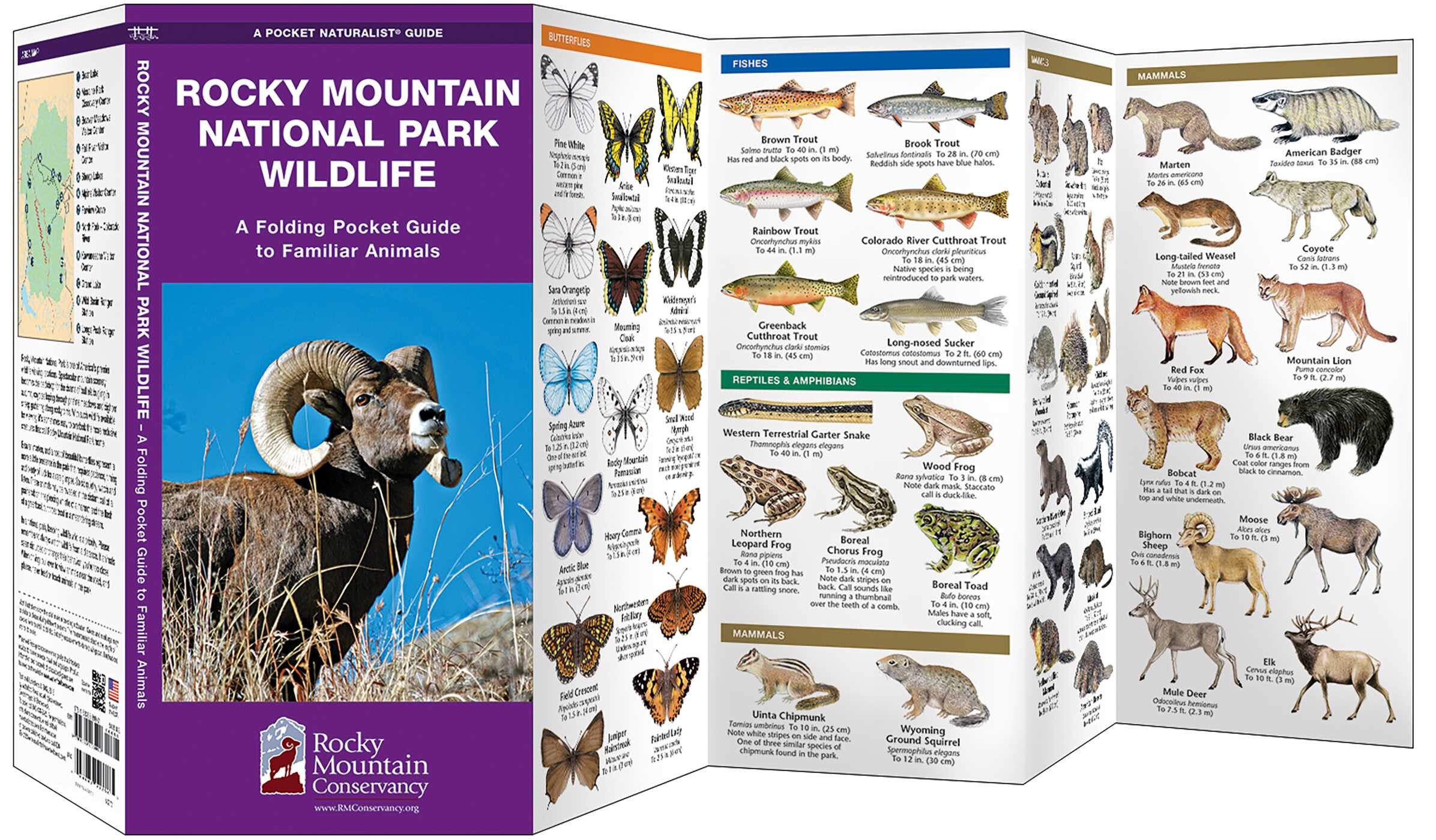 Rocky Mountain National Park Wildlife (RMNA)