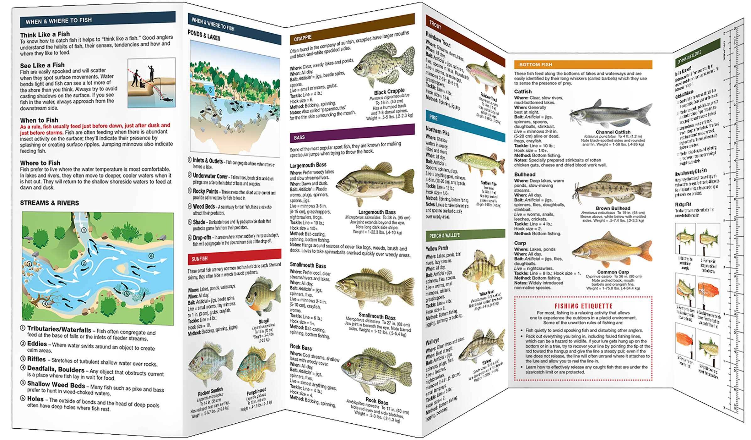 Freshwater Fishing