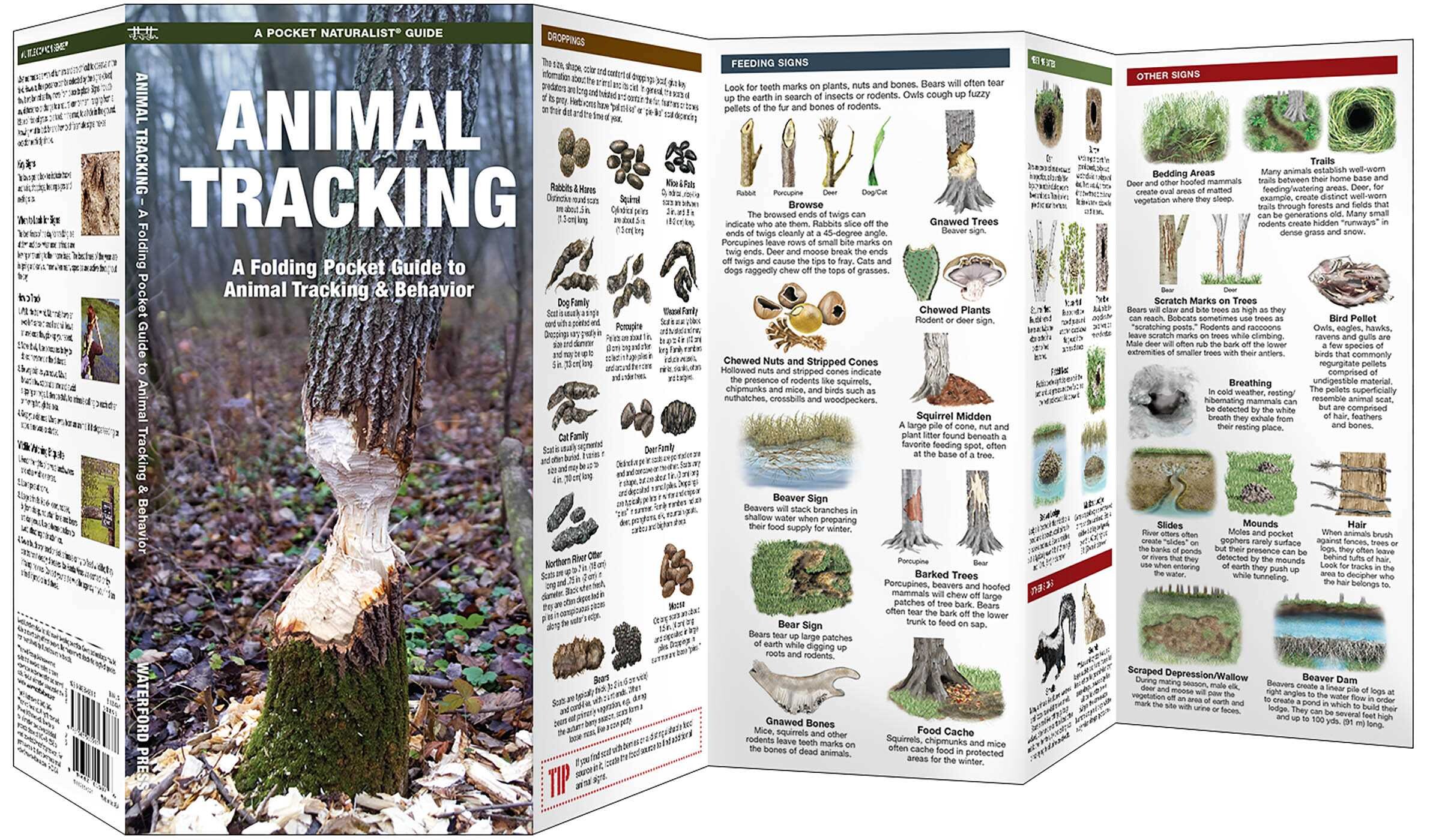 Animal Tracking