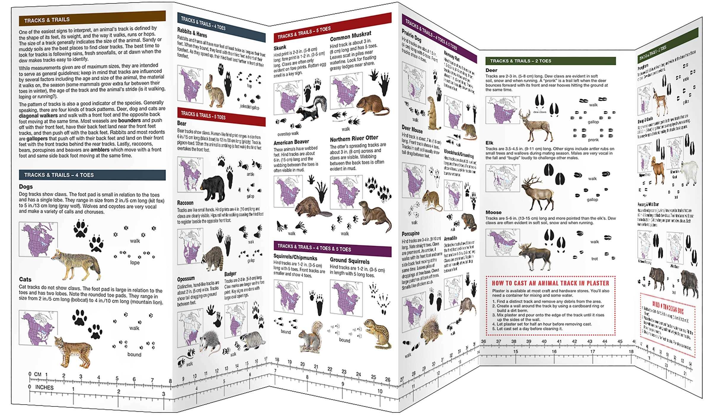 Animal Tracking