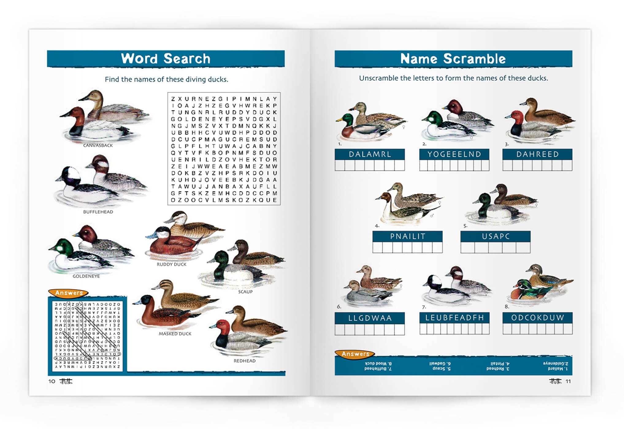Ducks Nature Activity Book, 2nd Ed
