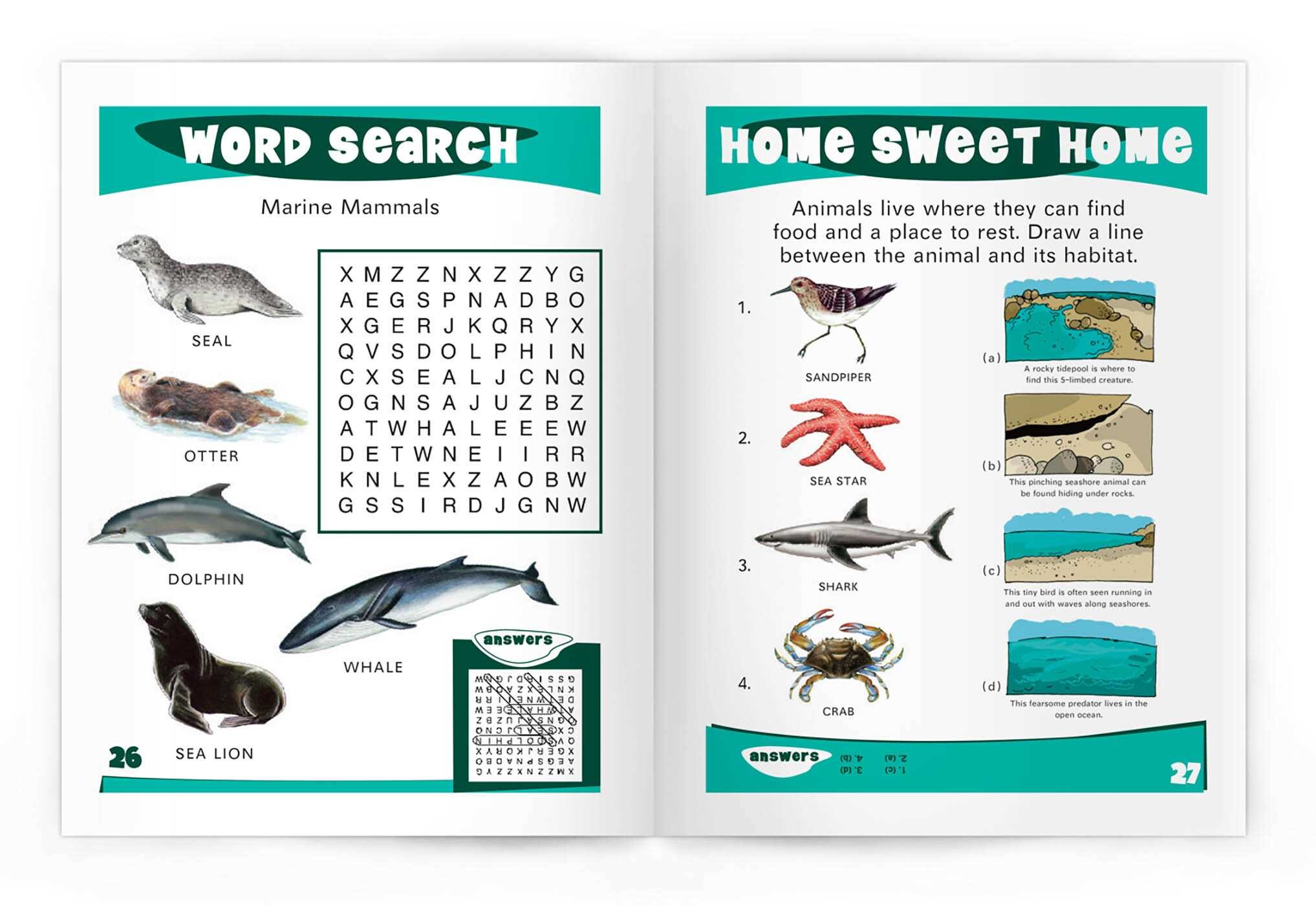 My First Seashores Nature Activity Book