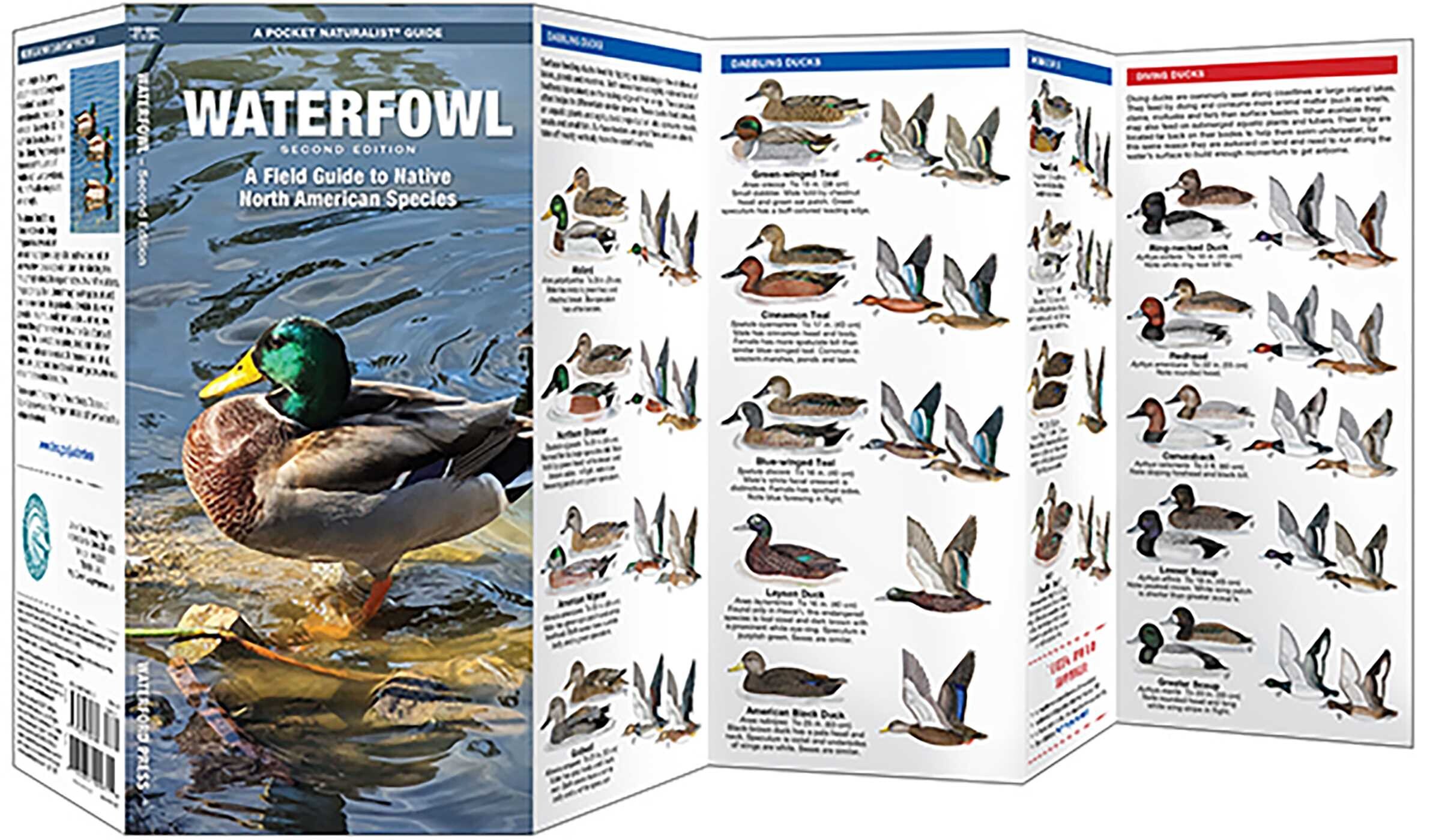 Waterfowl - Book Summary & Video | Official Publisher Page | Simon ...