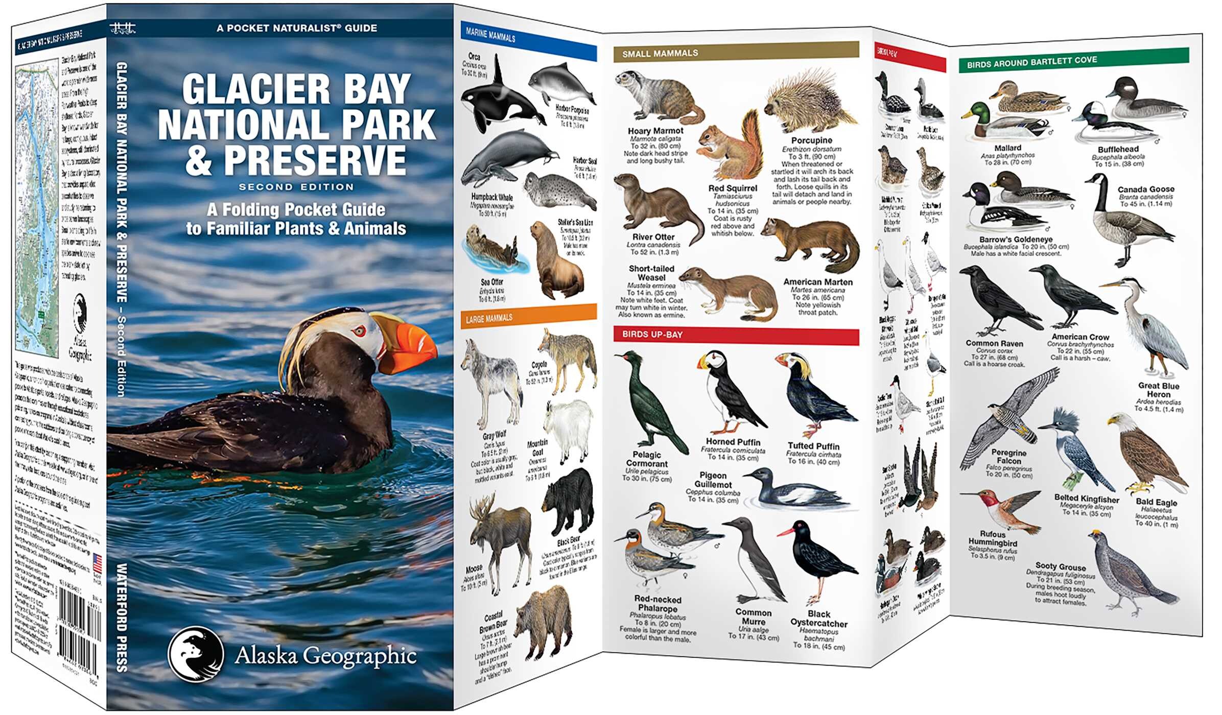 Glacier Bay National Park & Preserve