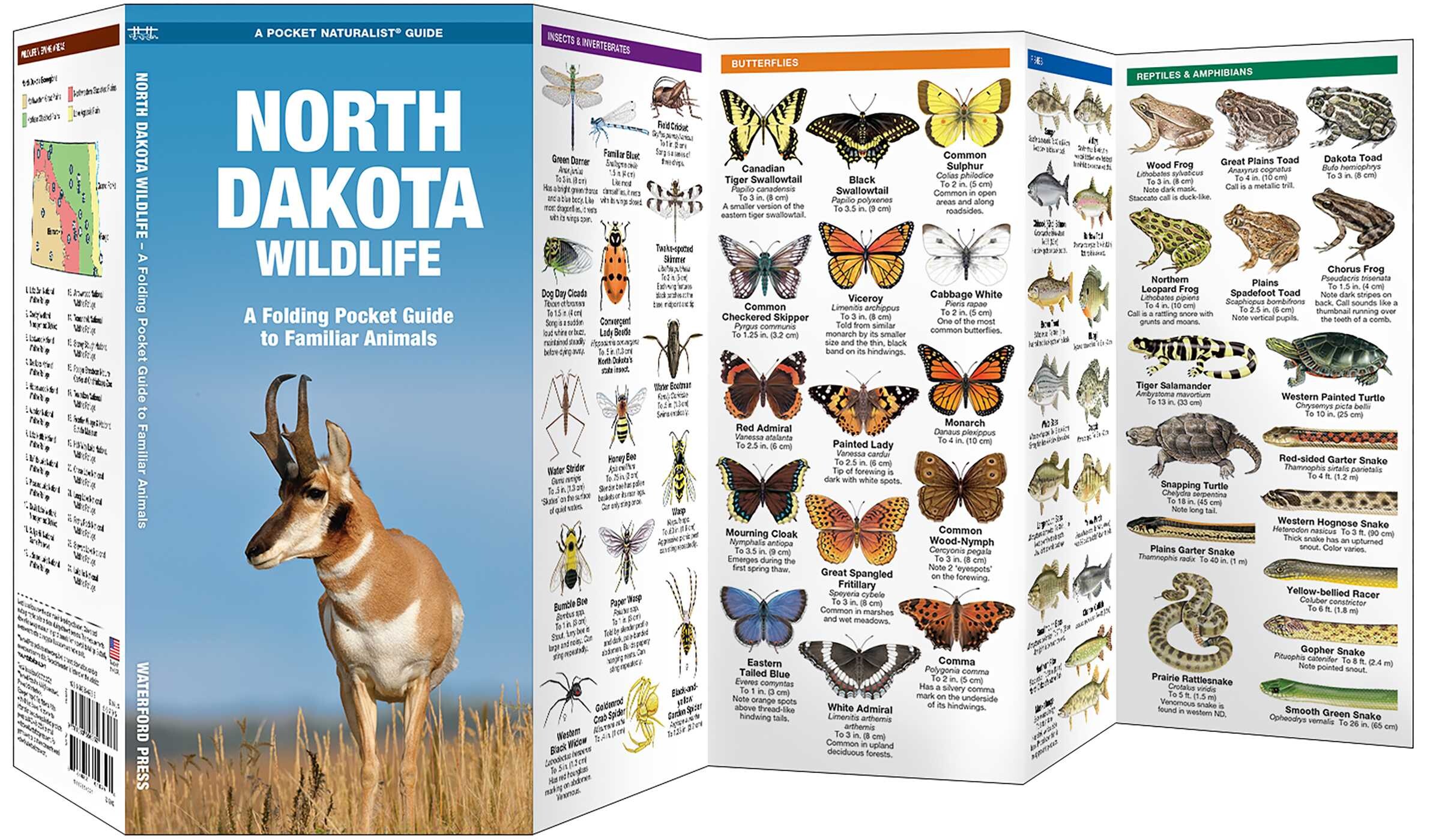 North Dakota Wildlife