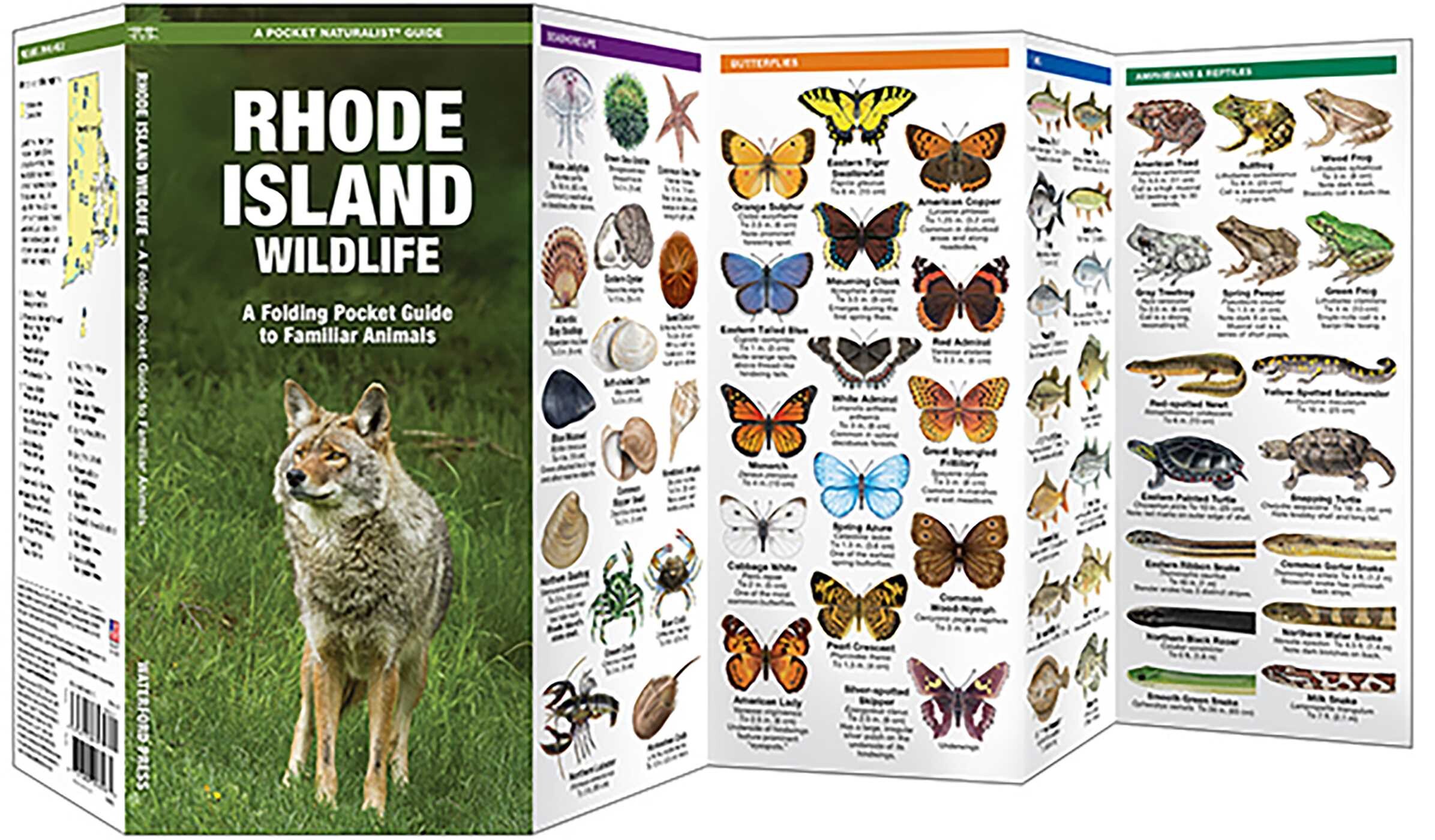 Rhode Island Wildlife