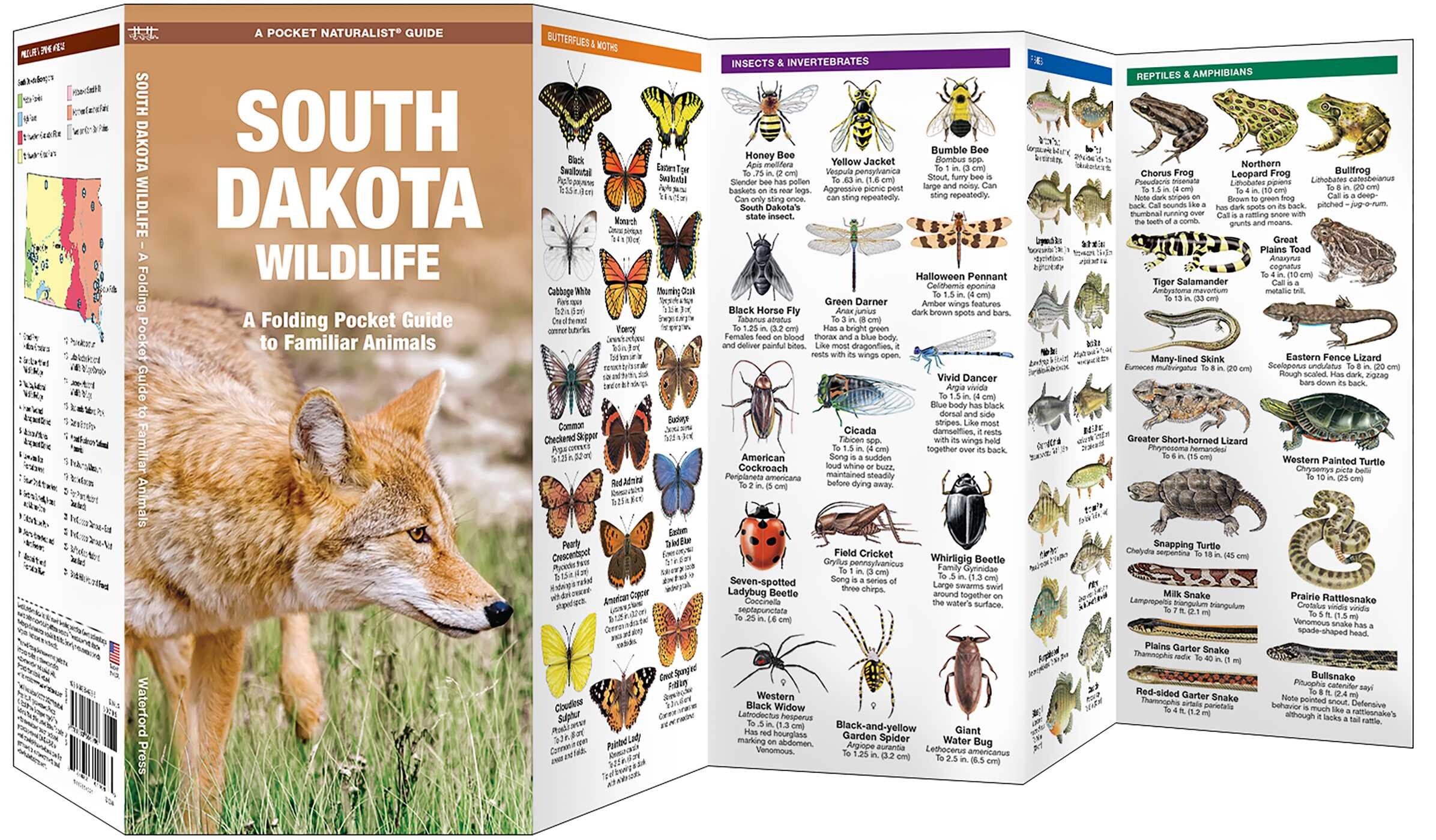 South Dakota Wildlife