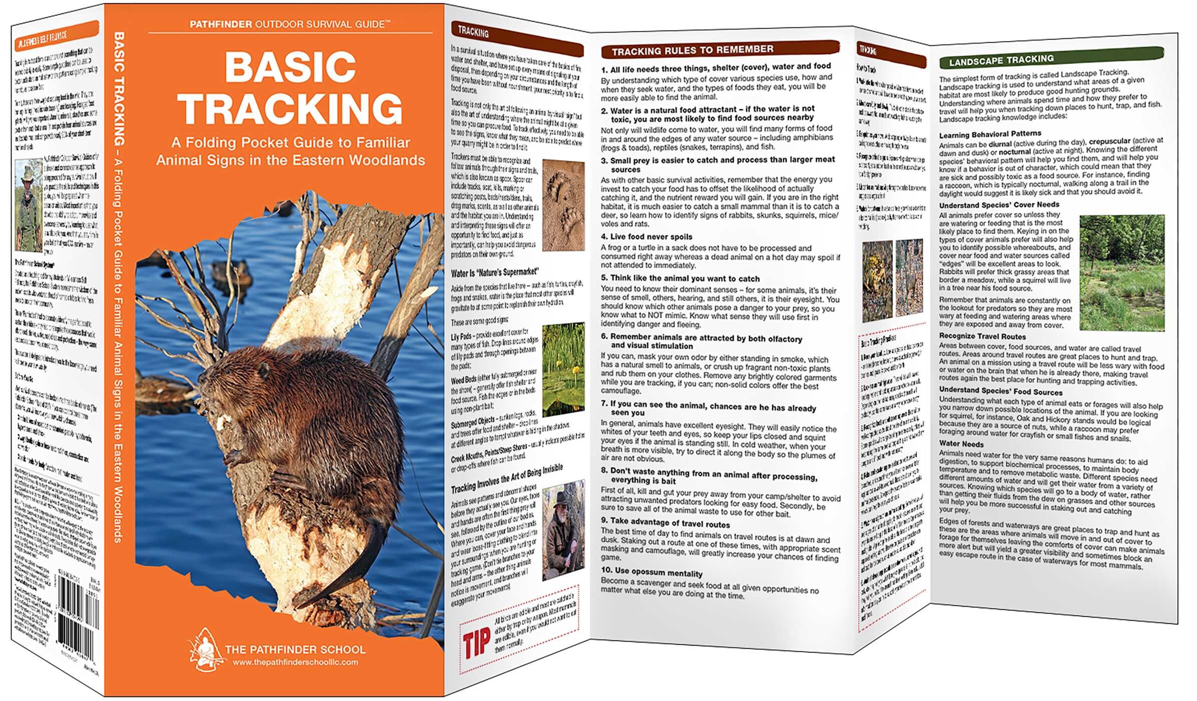 Basic Tracking