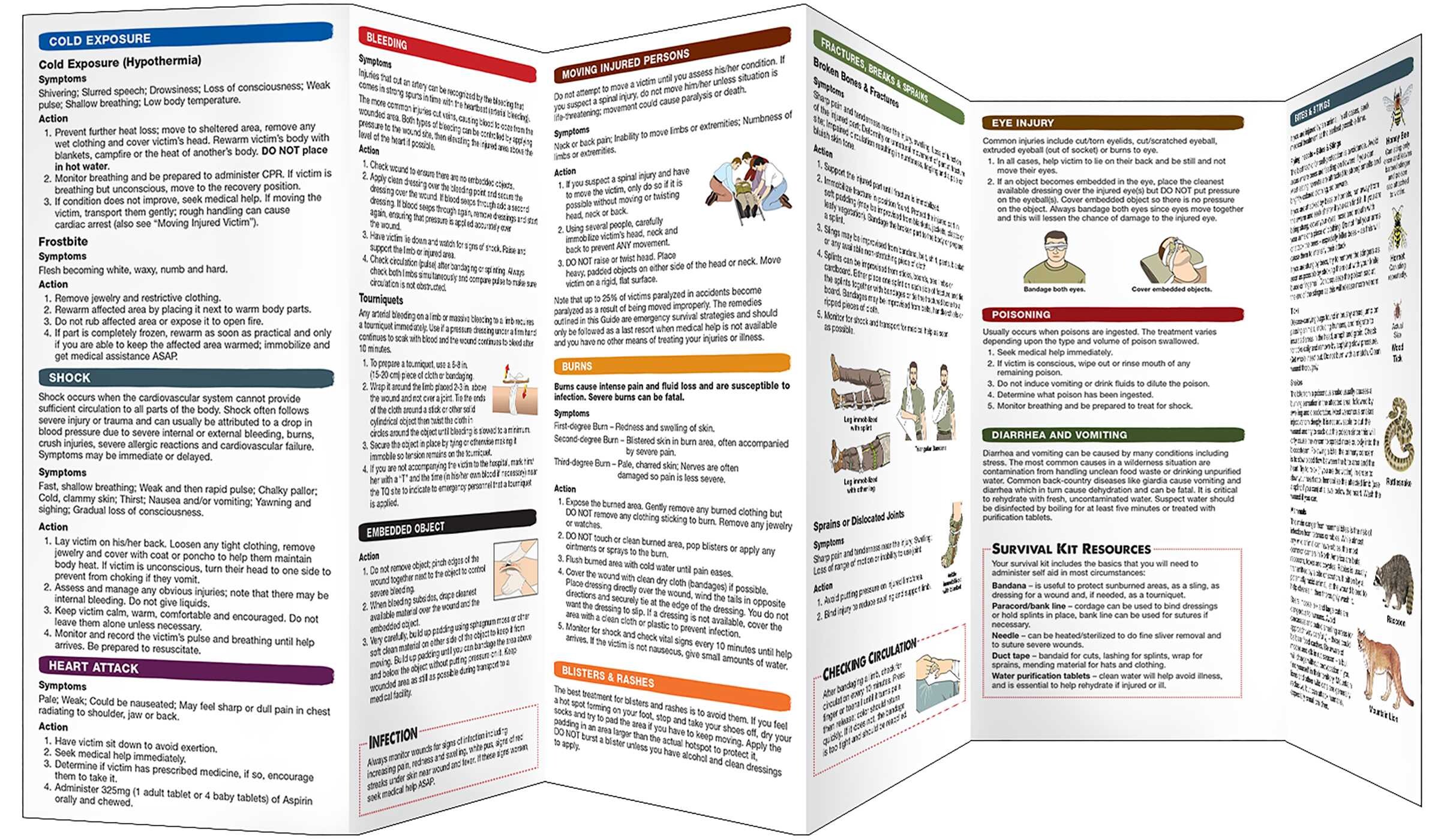 Wilderness First Aid