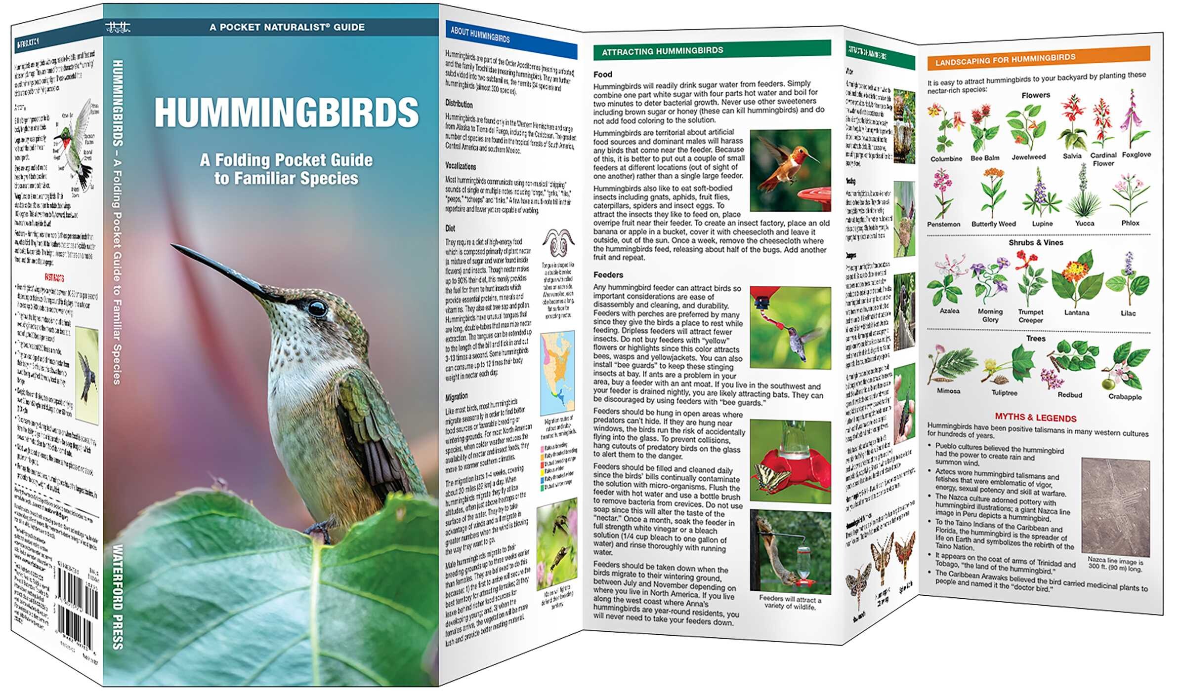 Hummingbirds, 3rd Ed