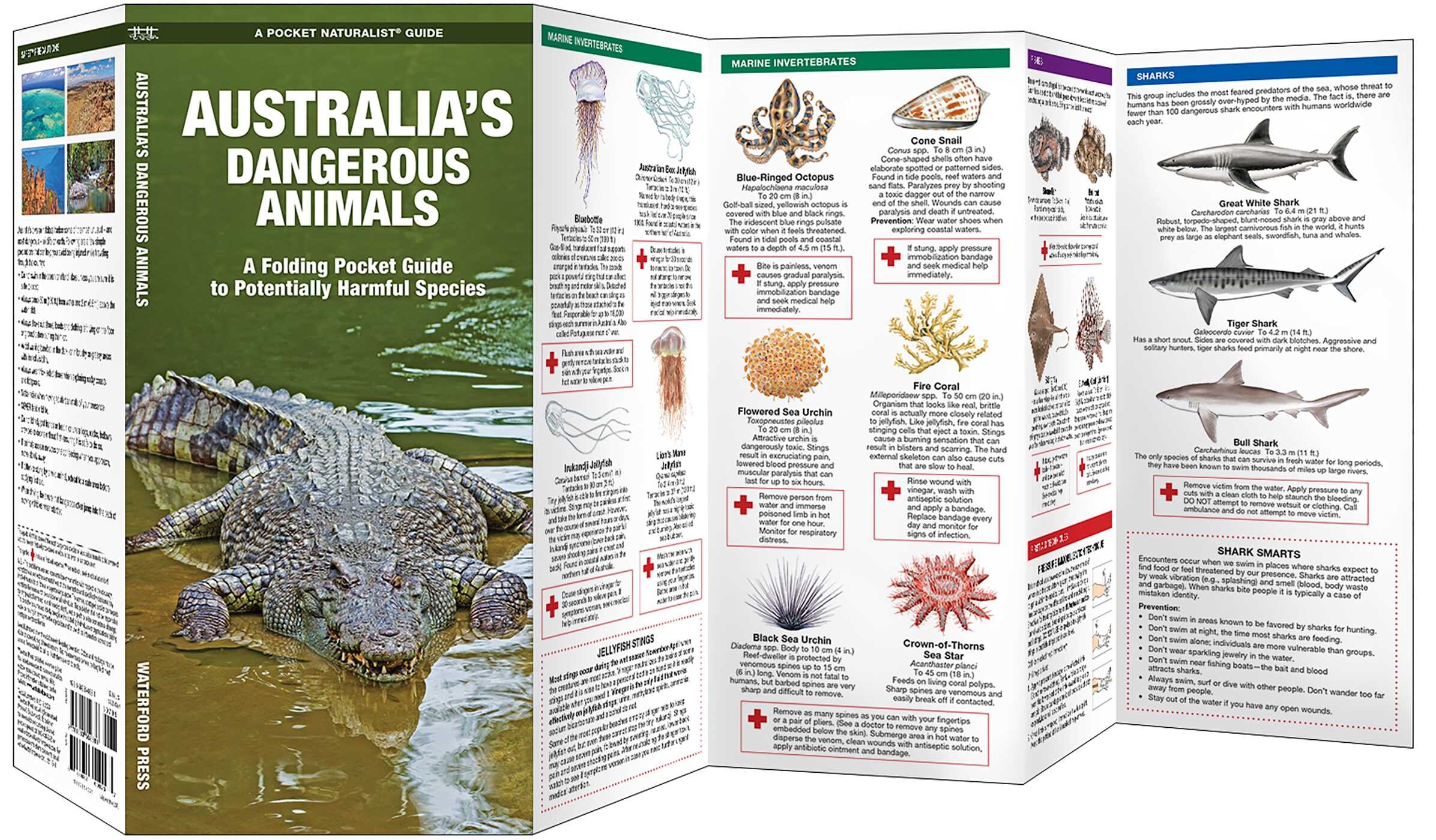 Australia's Dangerous Animals