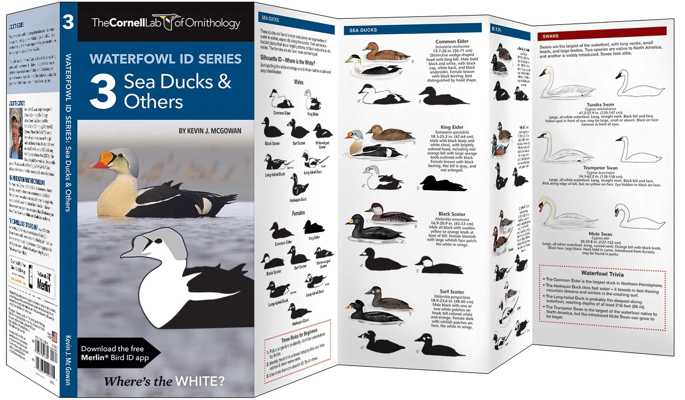 Cornell Lab of Ornithology Waterfowl ID Series: 3 Sea Ducks & Others