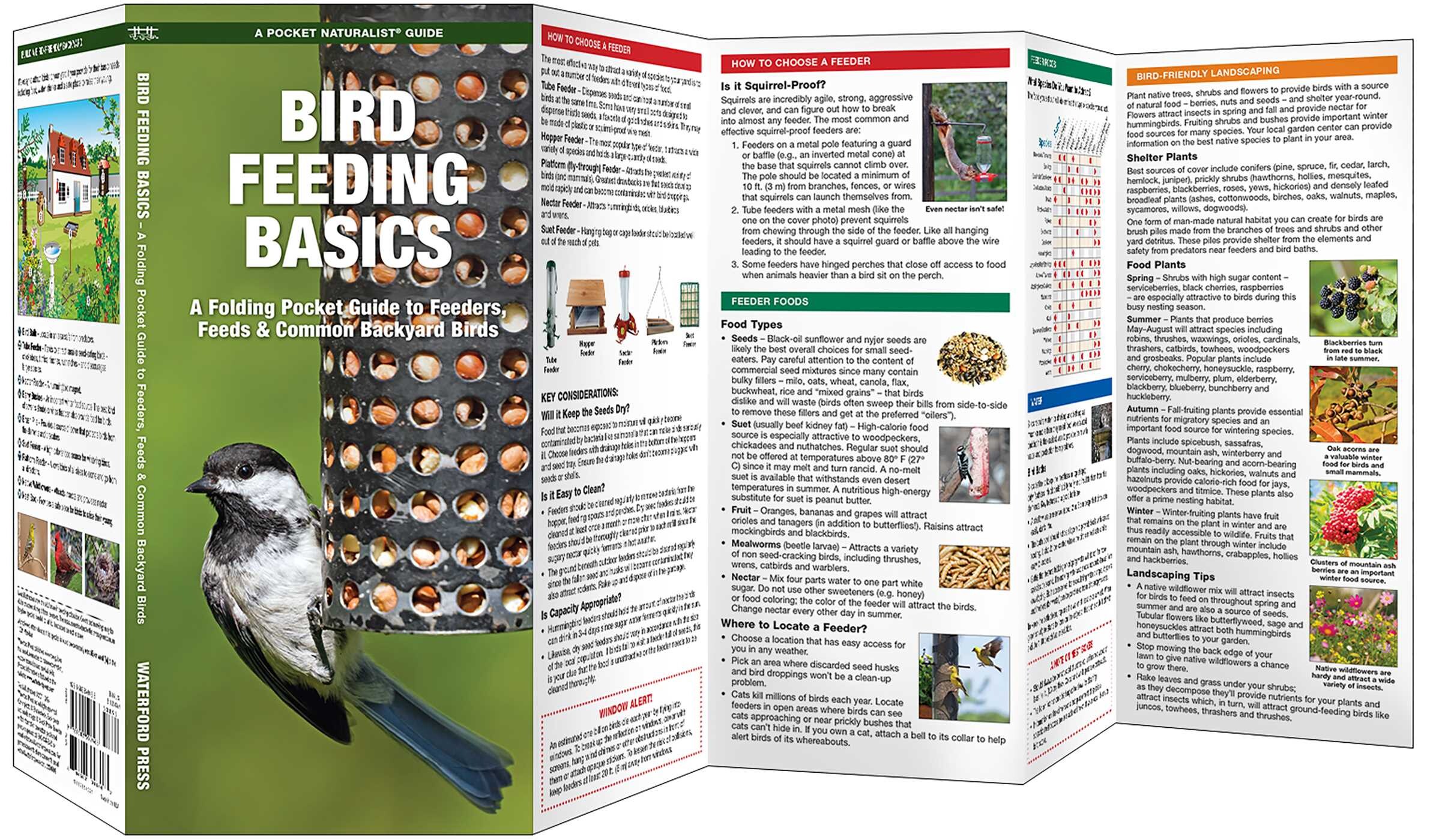 Bird Feeding Basics