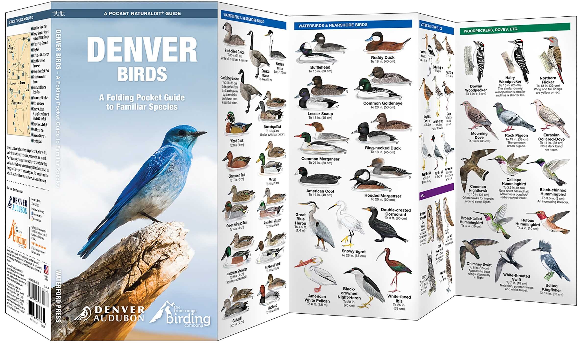Denver Birds