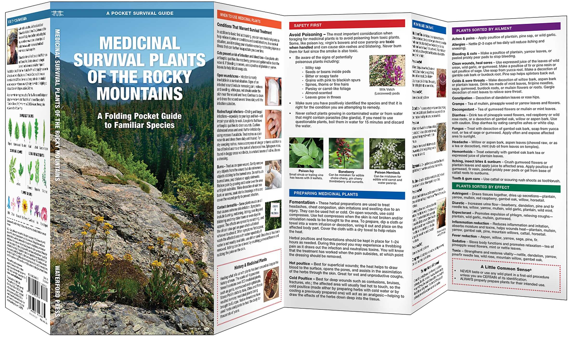 Medicinal Survival Plants of the Rocky Mountains