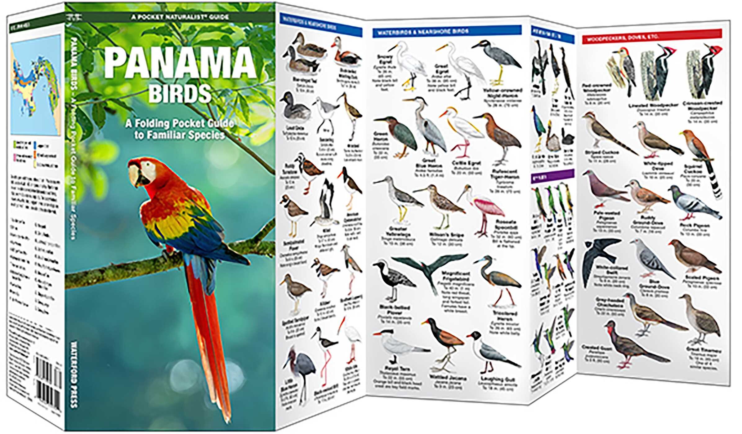 Panama Birds